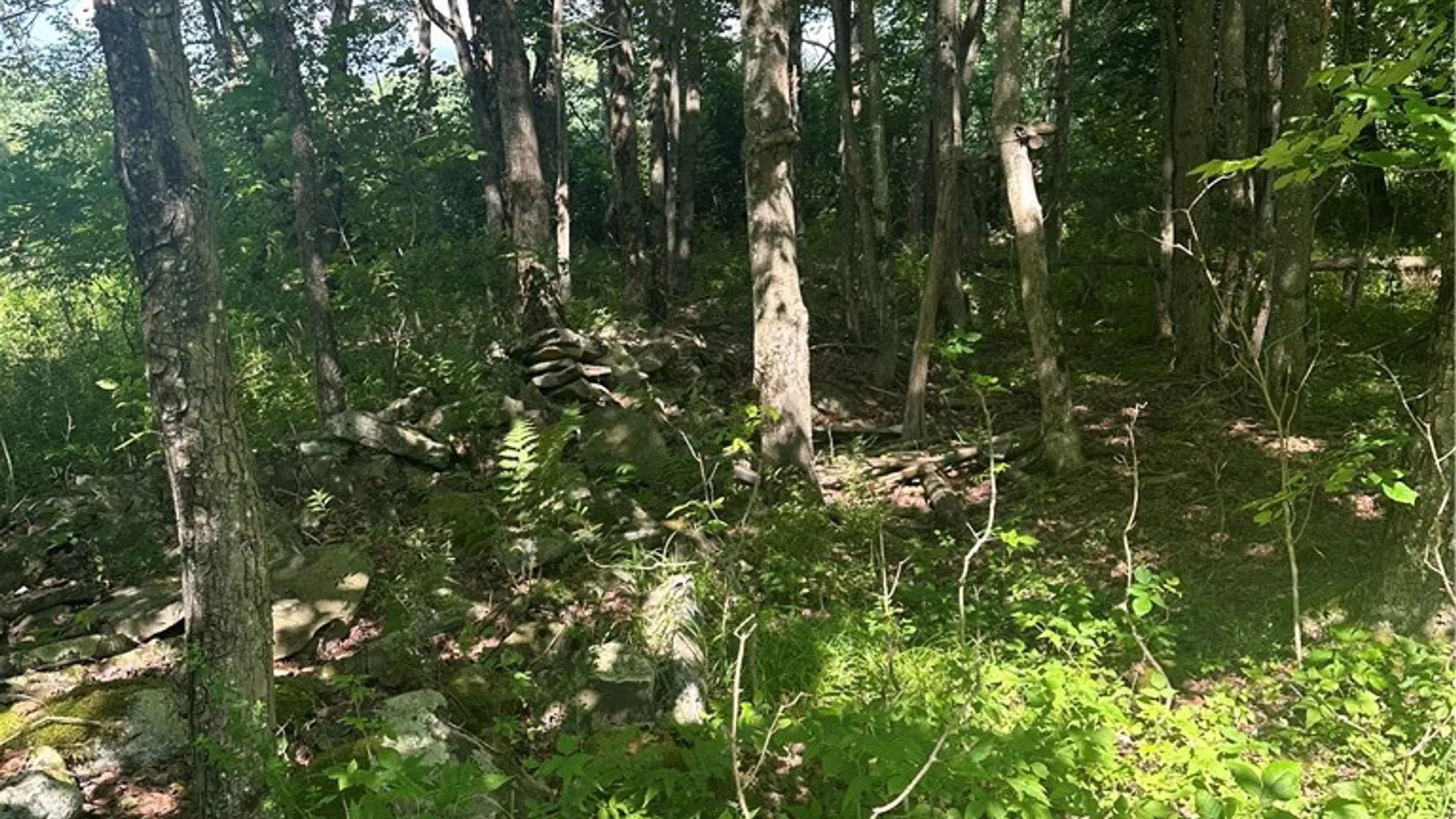 Property at Lot 173.-3-7 Guinea Road, Gilboa, NY 12076 24
