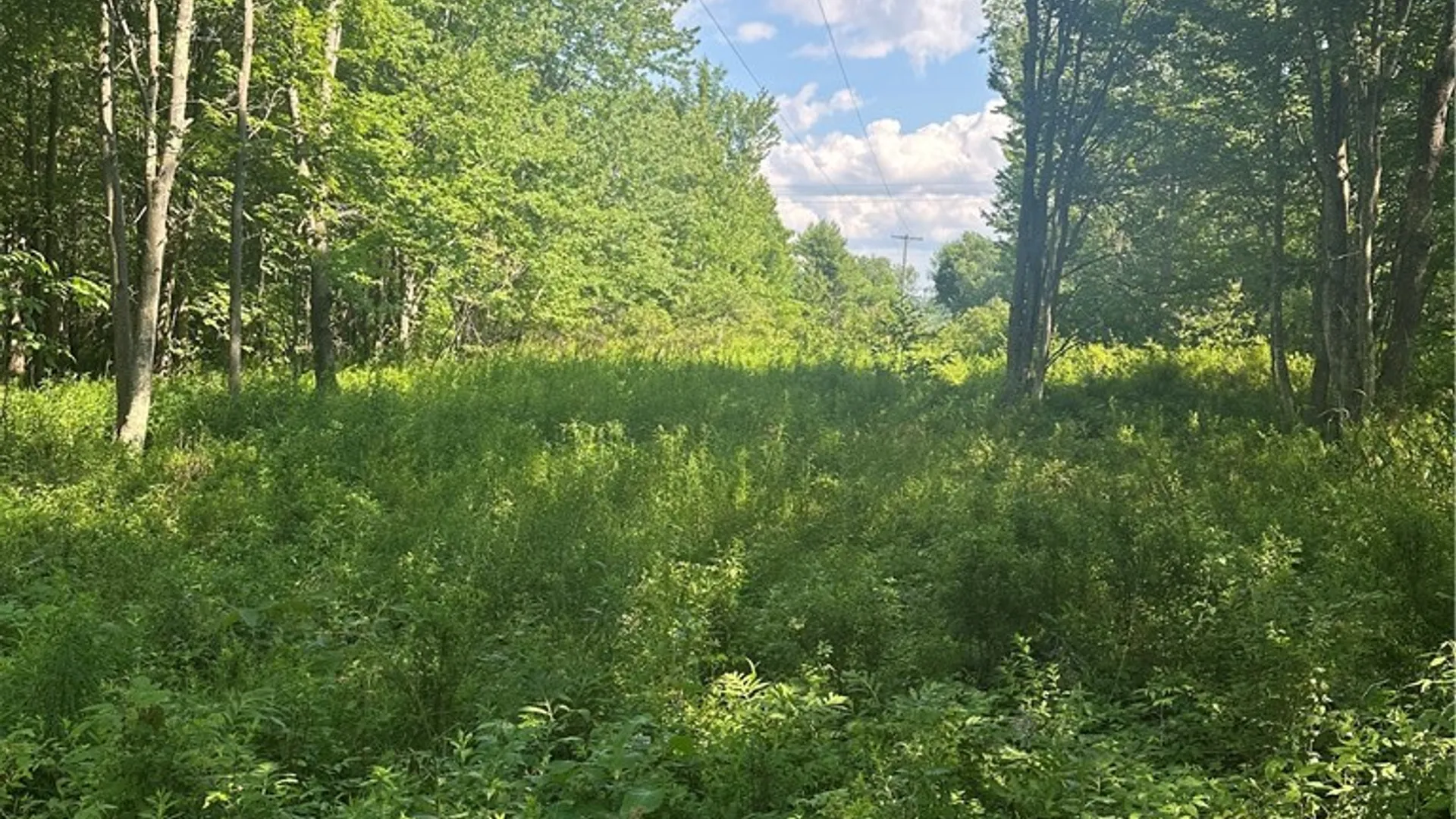 Property at Lot 173.-3-7 Guinea Road, Gilboa, NY 12076 29
