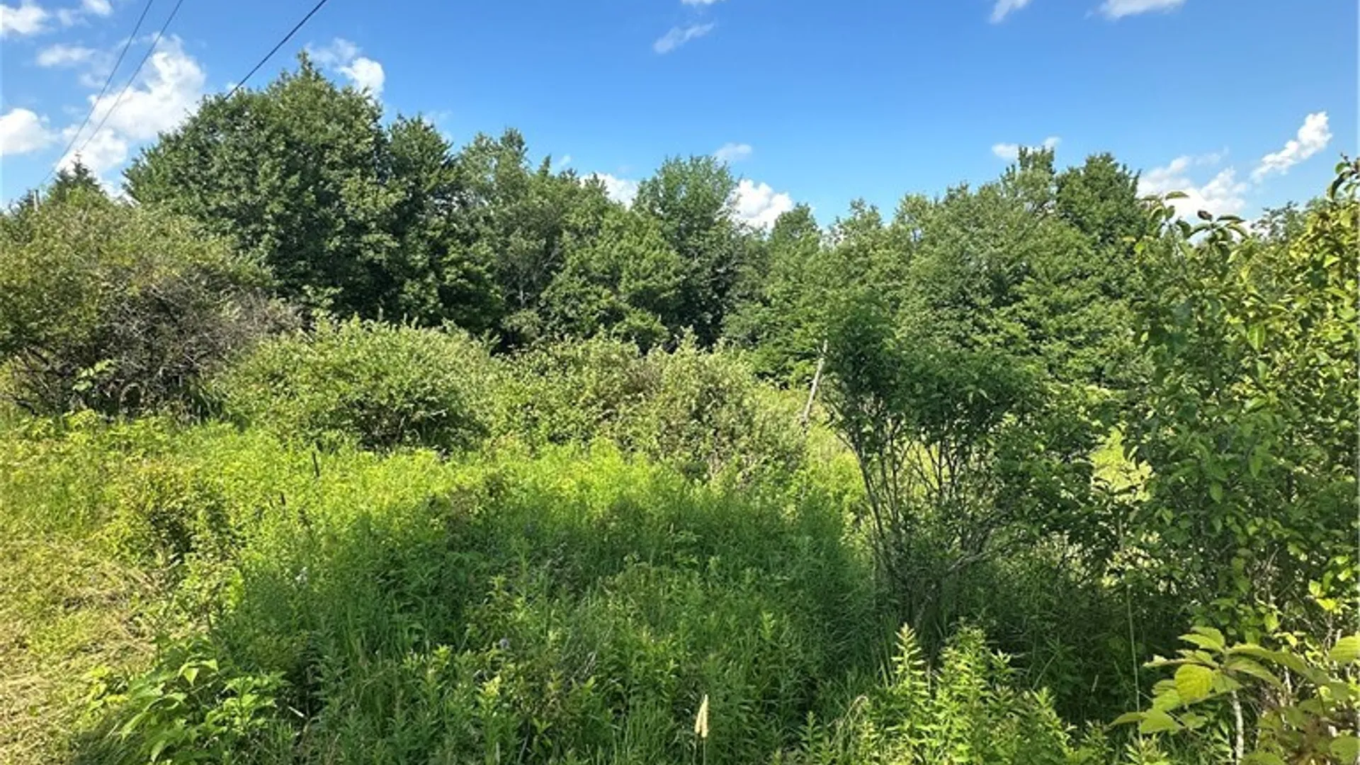 Property at Lot 173.-3-7 Guinea Road, Gilboa, NY 12076 19