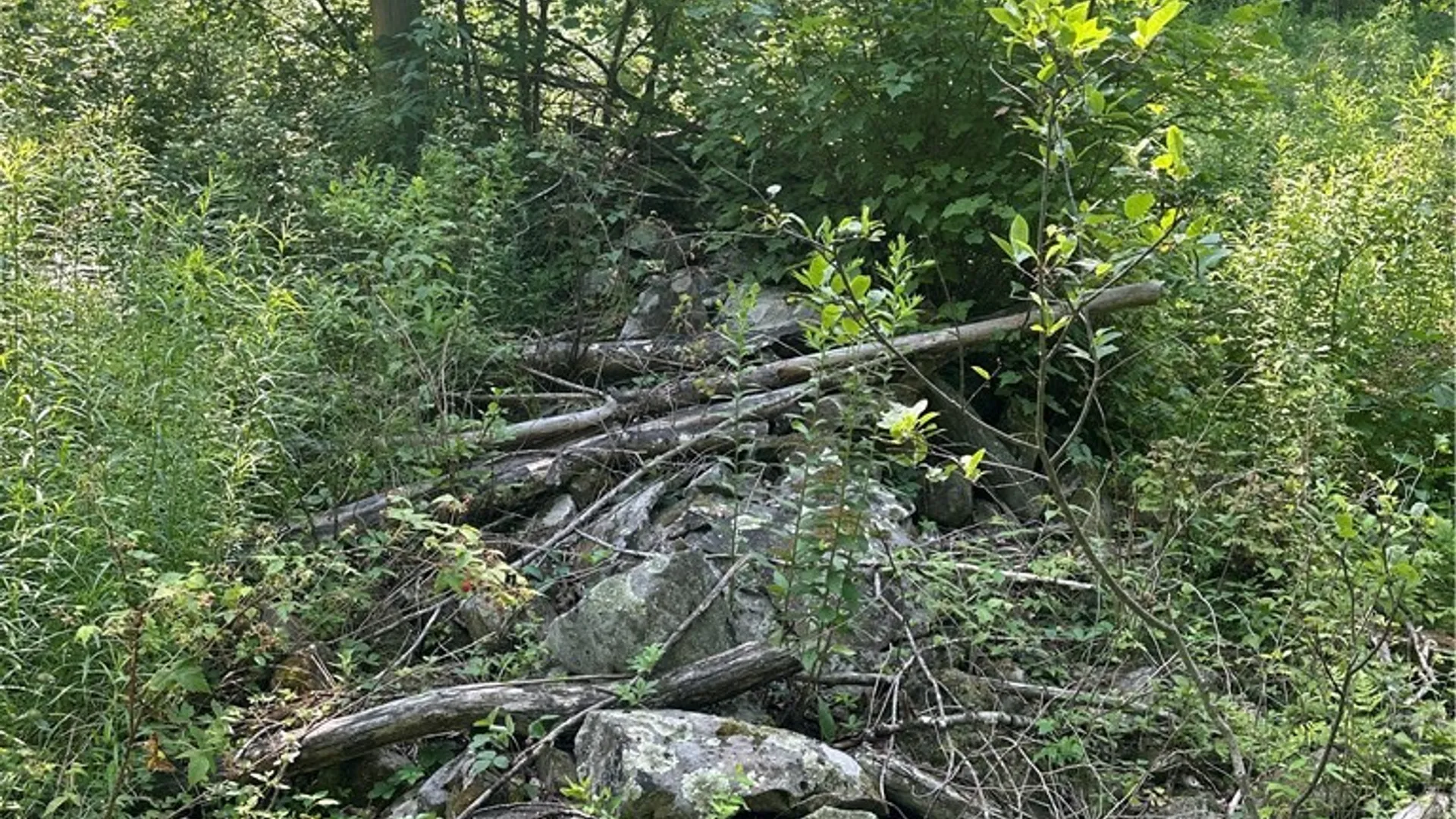 Property at Lot 173.-3-7 Guinea Road, Gilboa, NY 12076 22