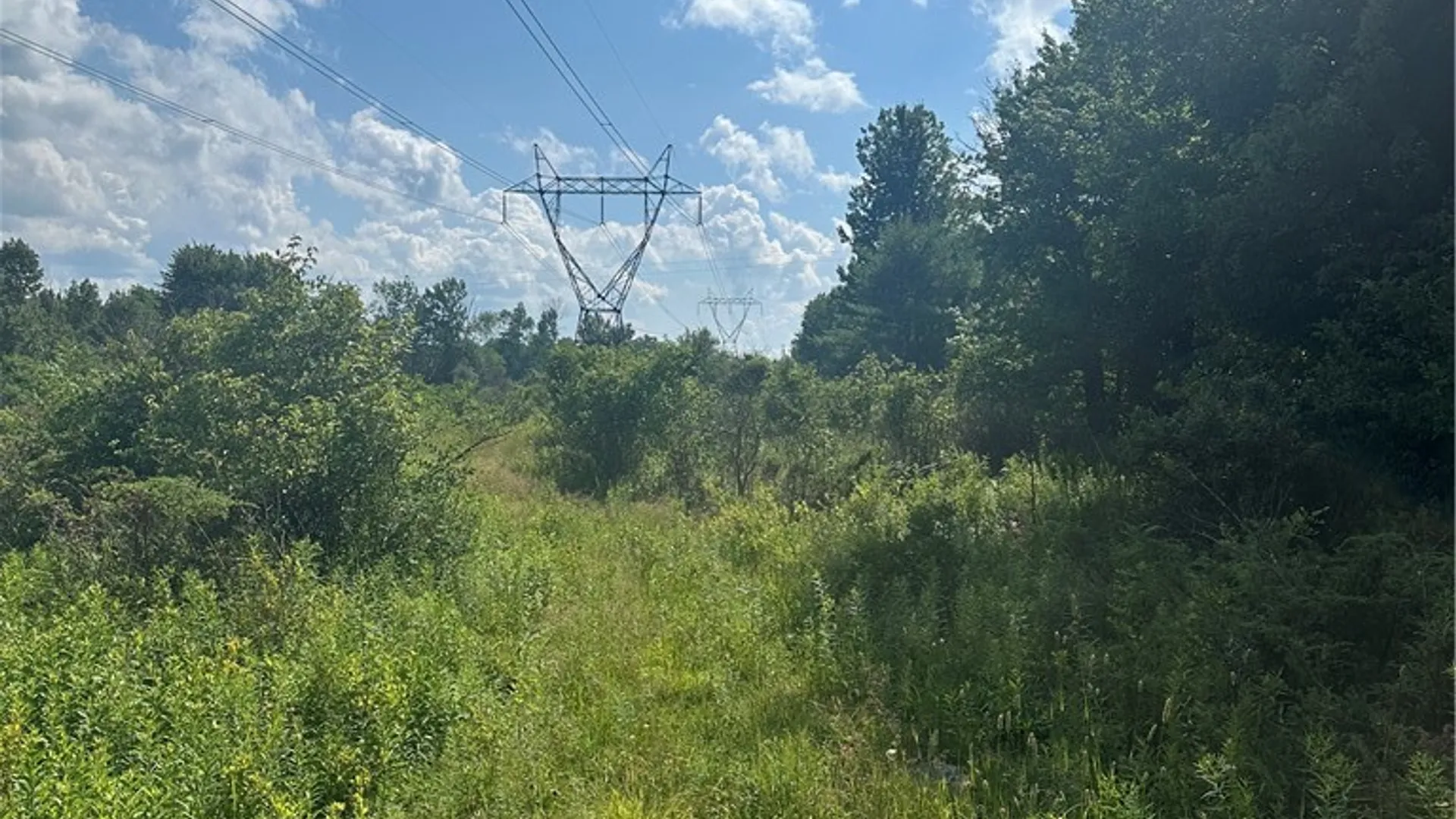 Property at Lot 173.-3-7 Guinea Road, Gilboa, NY 12076 34