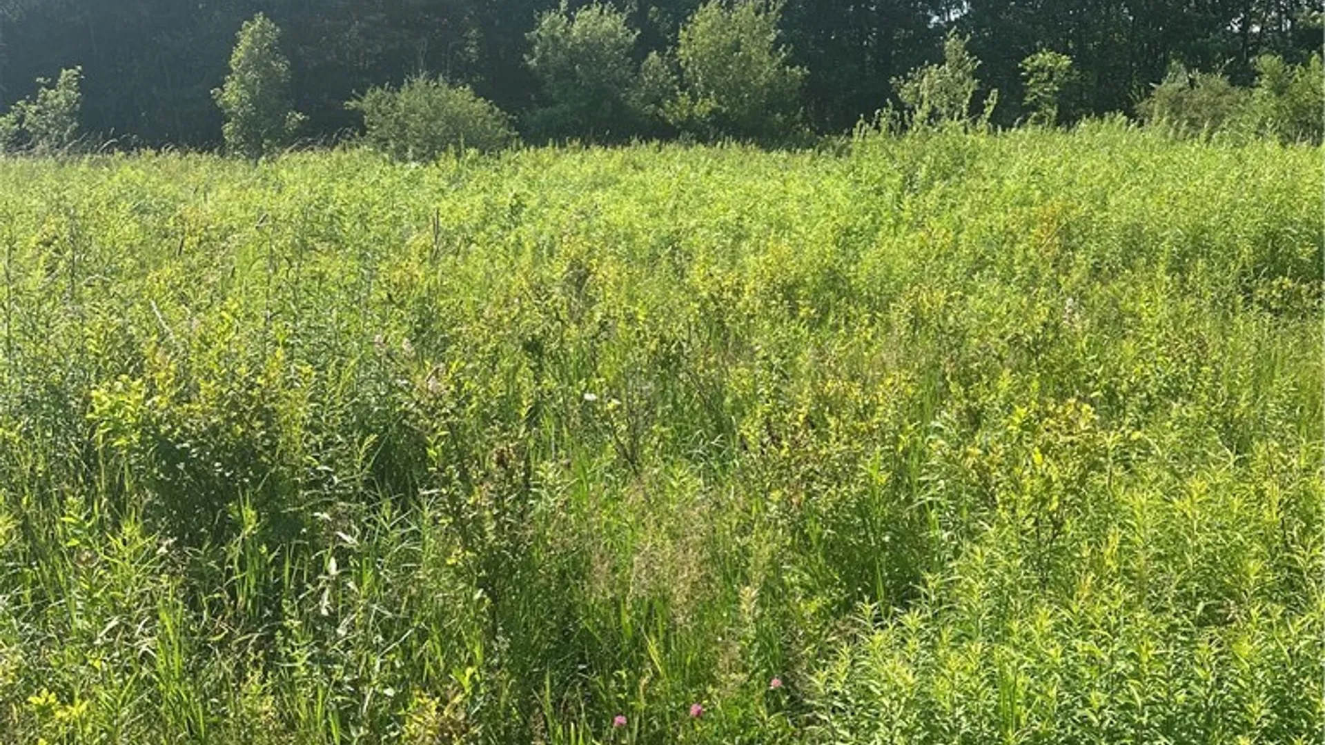 Property at Lot 173.-3-7 Guinea Road, Gilboa, NY 12076 35