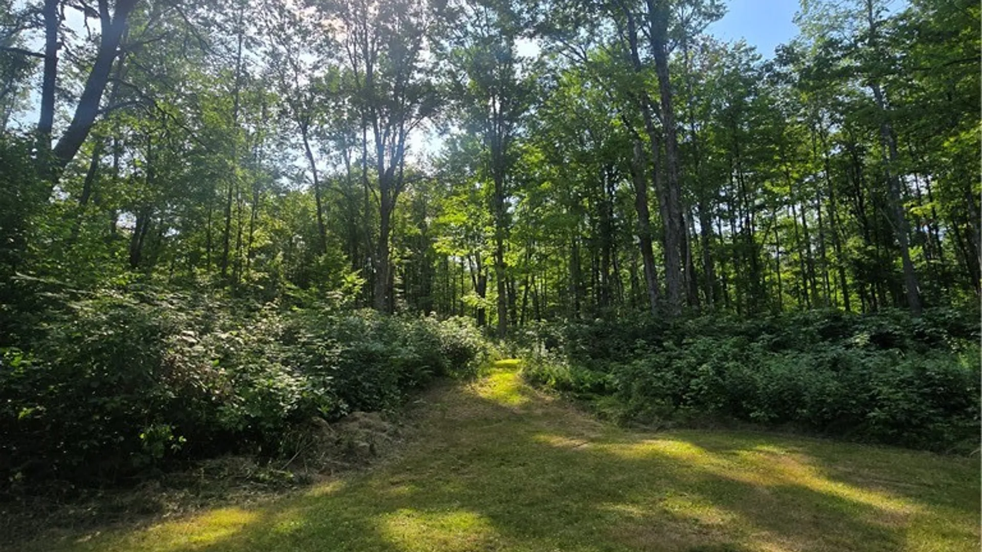 Property at 635 Balsam Tyler Road, Pharsalia, NY 13801 17