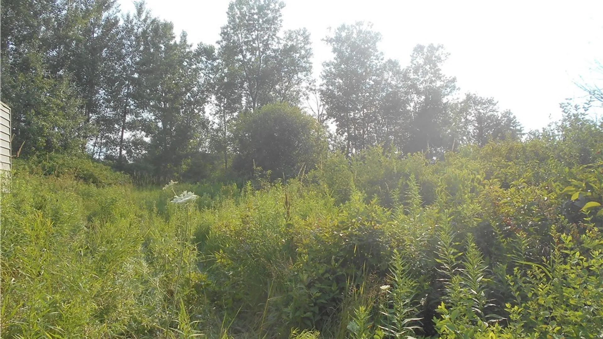 Property at 11689 Route 98, Freedom, NY 14065 10
