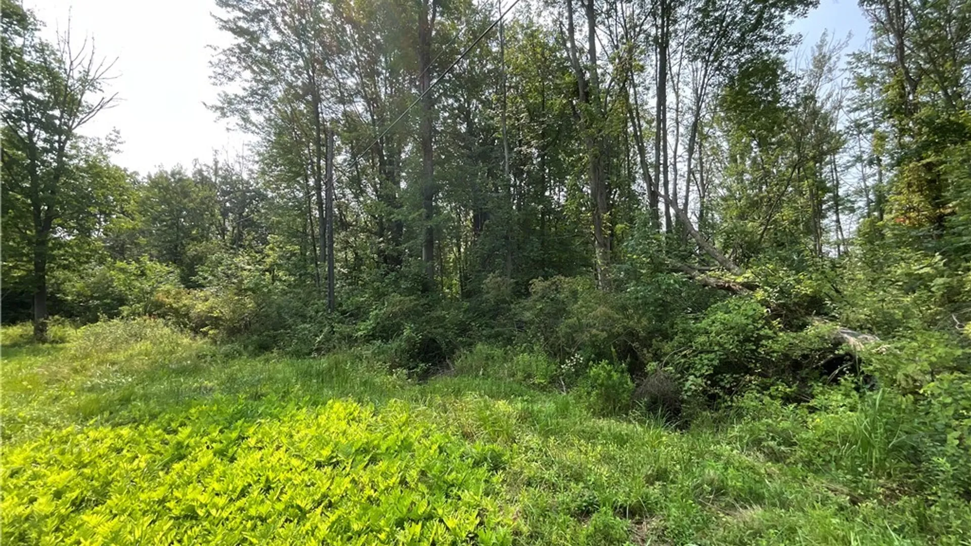 Property at 4720 Shadigee Road, Wilson, NY 14108 4