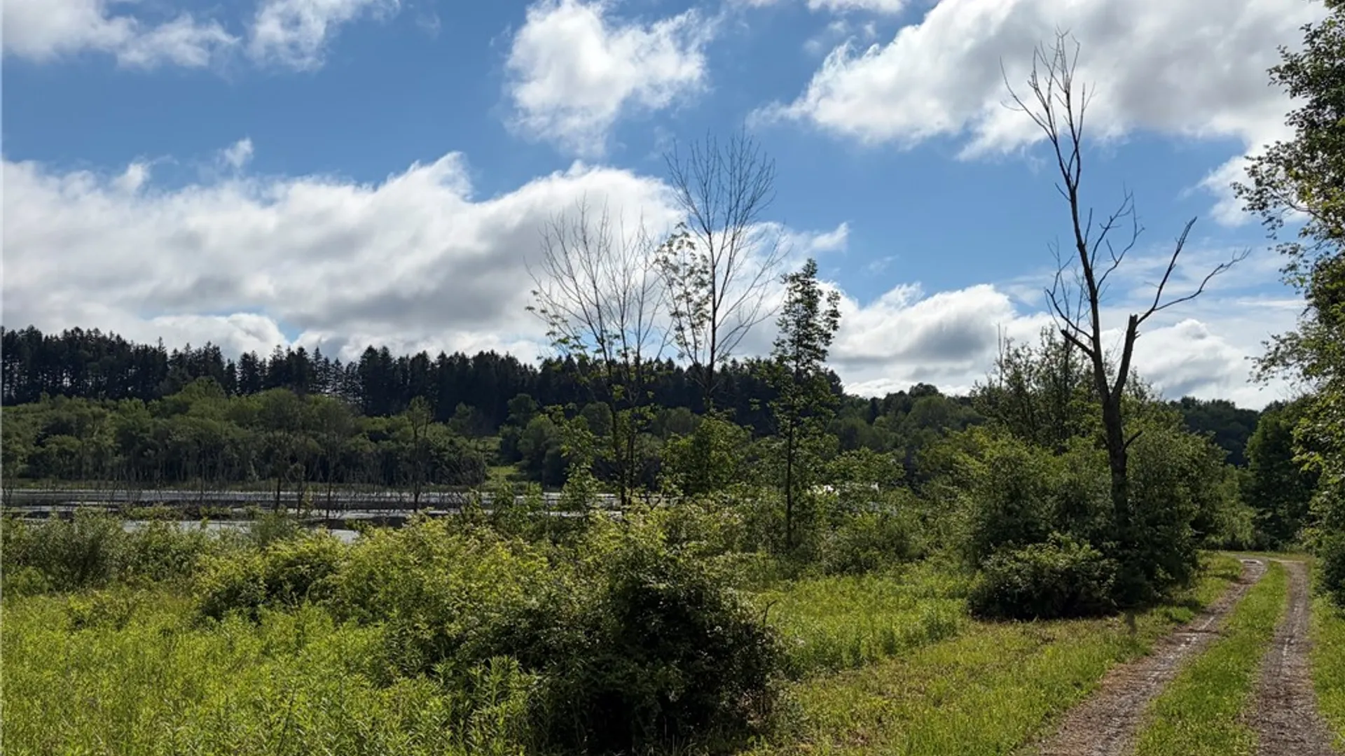 Property at 0 Banks Road, Gainesville, NY 14066 3