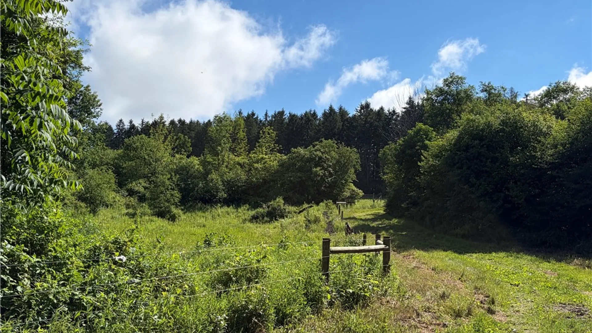 Property at 0 Banks Road, Gainesville, NY 14066 22