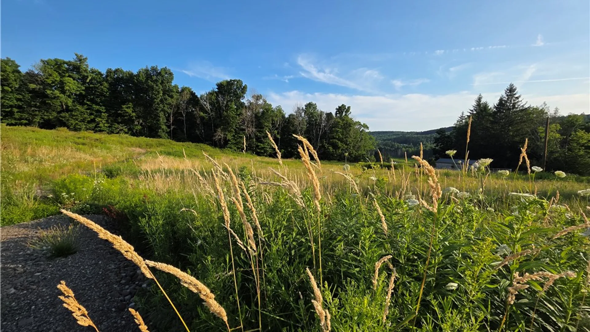 Property at 652 Ideuma Road, Unadilla, NY 13849 5