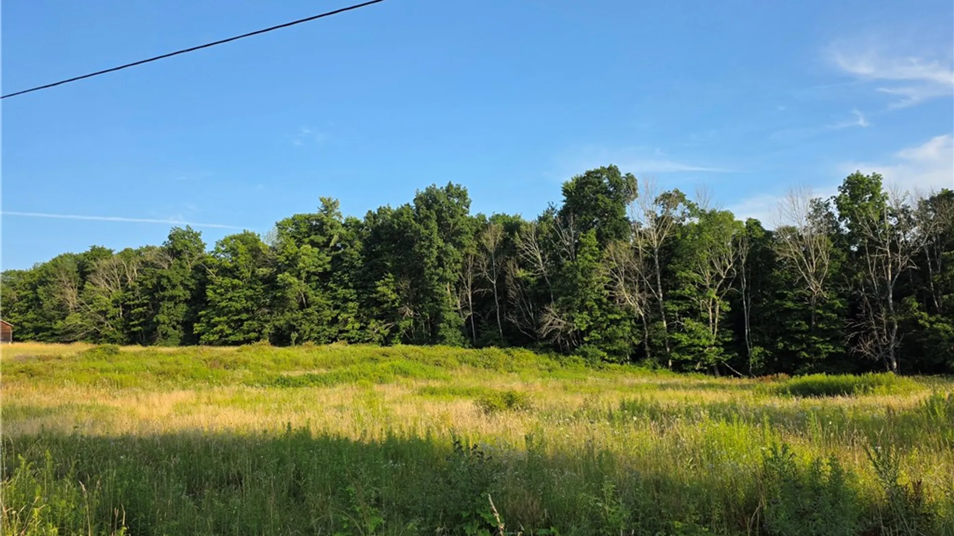 Property at 652 Ideuma Road, Unadilla, NY 13849 8