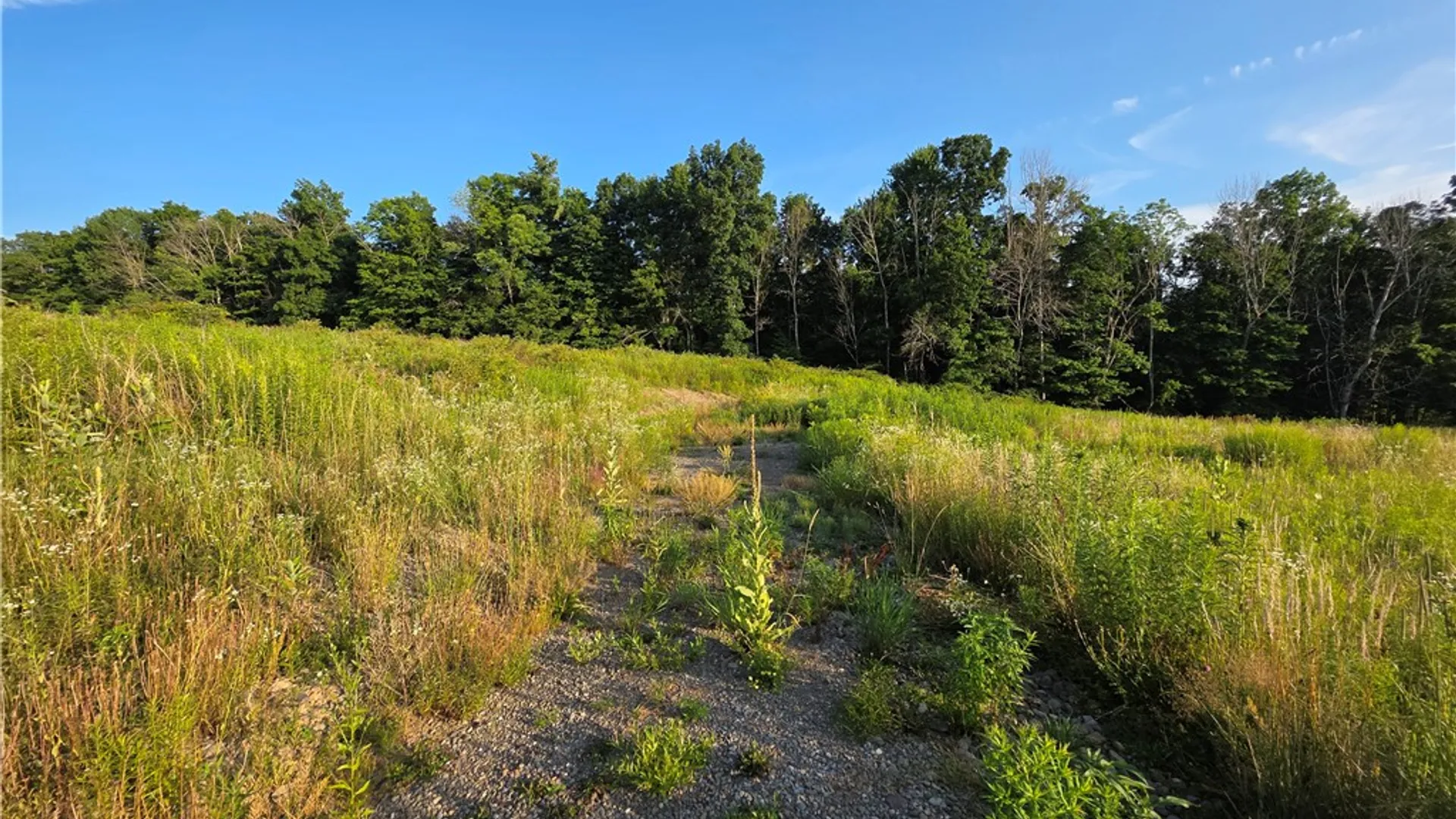 Property at 652 Ideuma Road, Unadilla, NY 13849 13