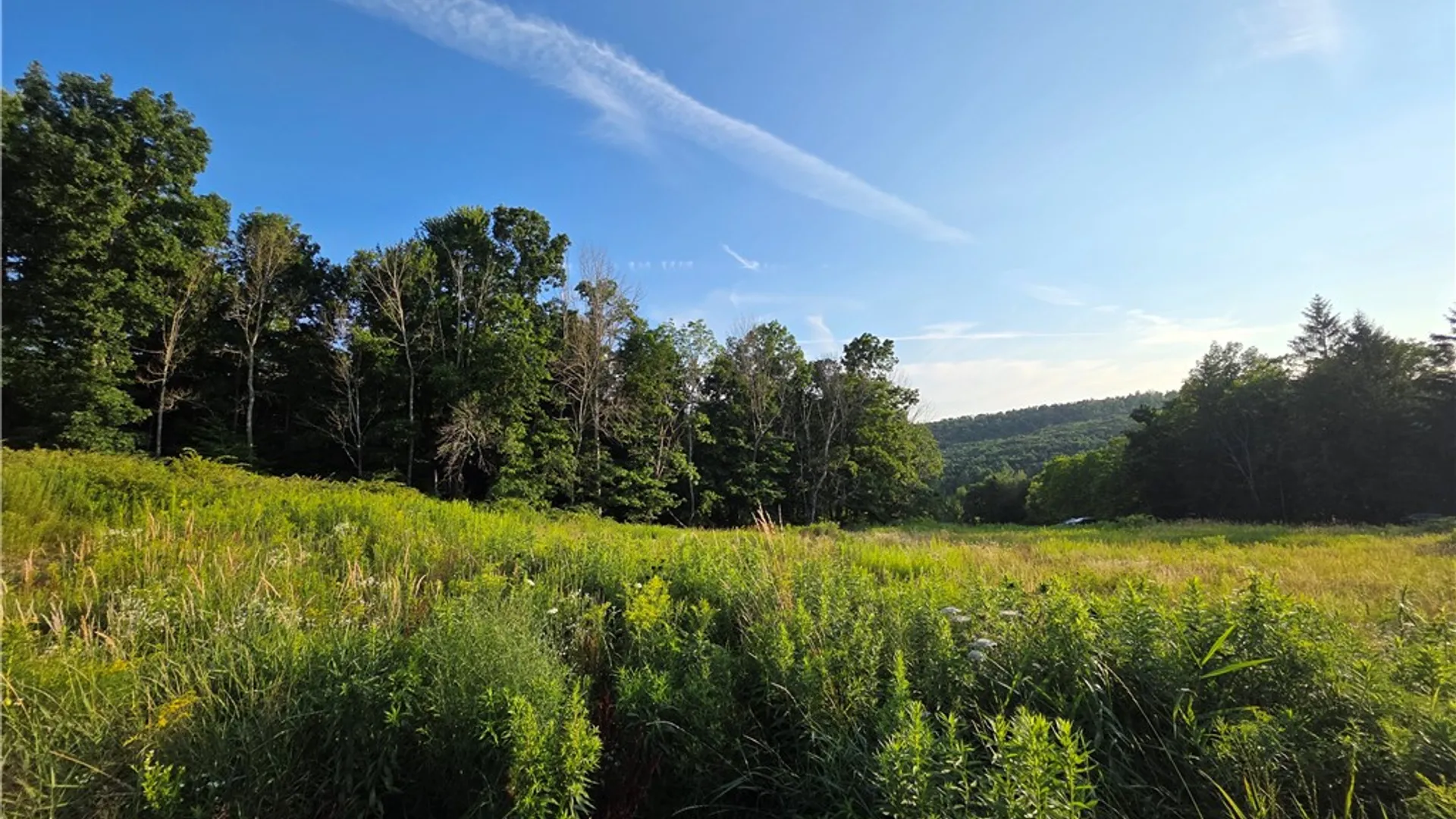 Property at 652 Ideuma Road, Unadilla, NY 13849 17