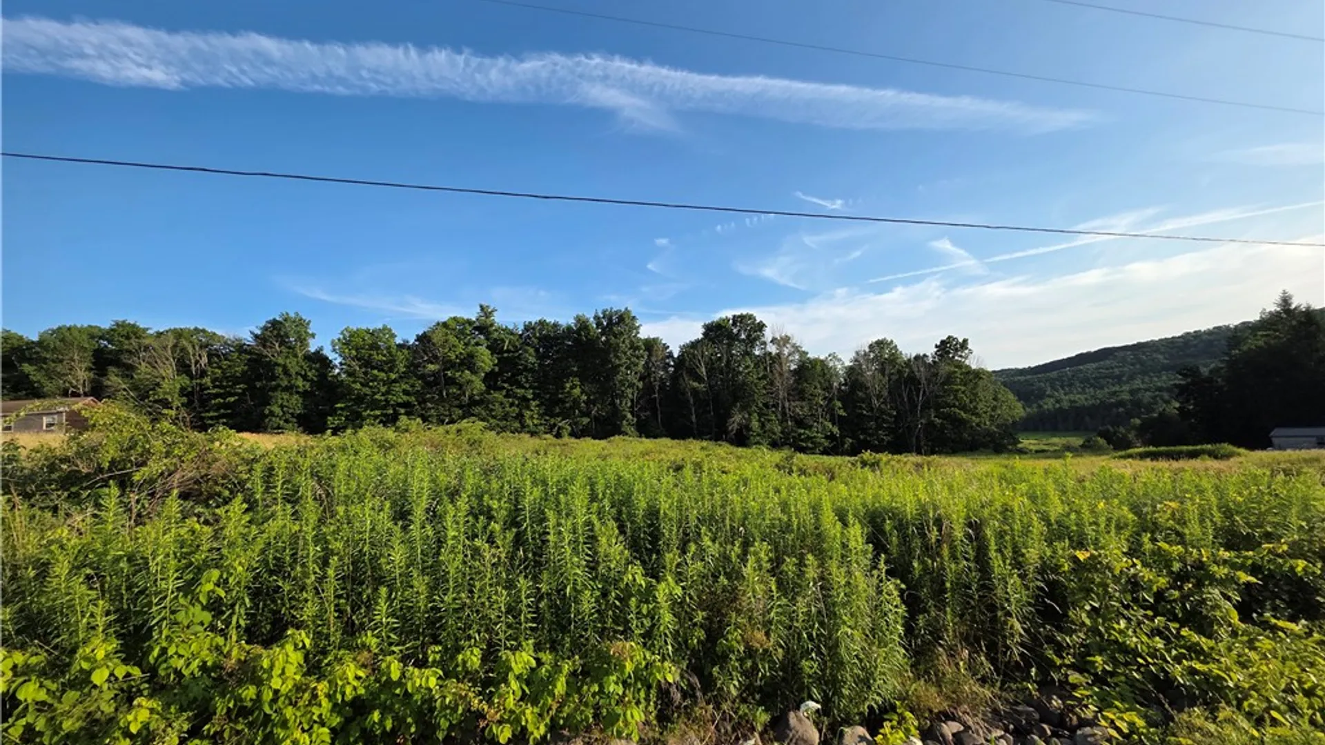 Property at 652 Ideuma Road, Unadilla, NY 13849 20
