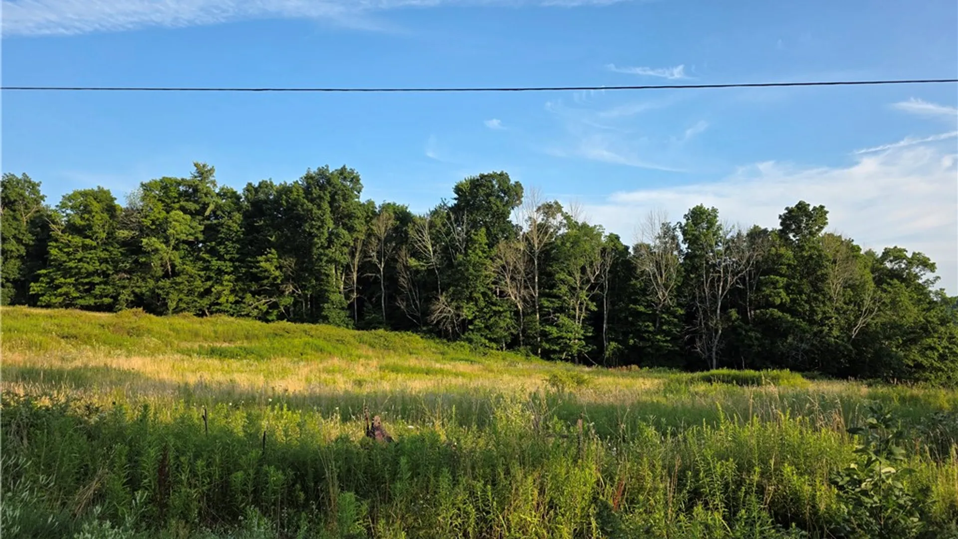 Property at 652 Ideuma Road, Unadilla, NY 13849 25