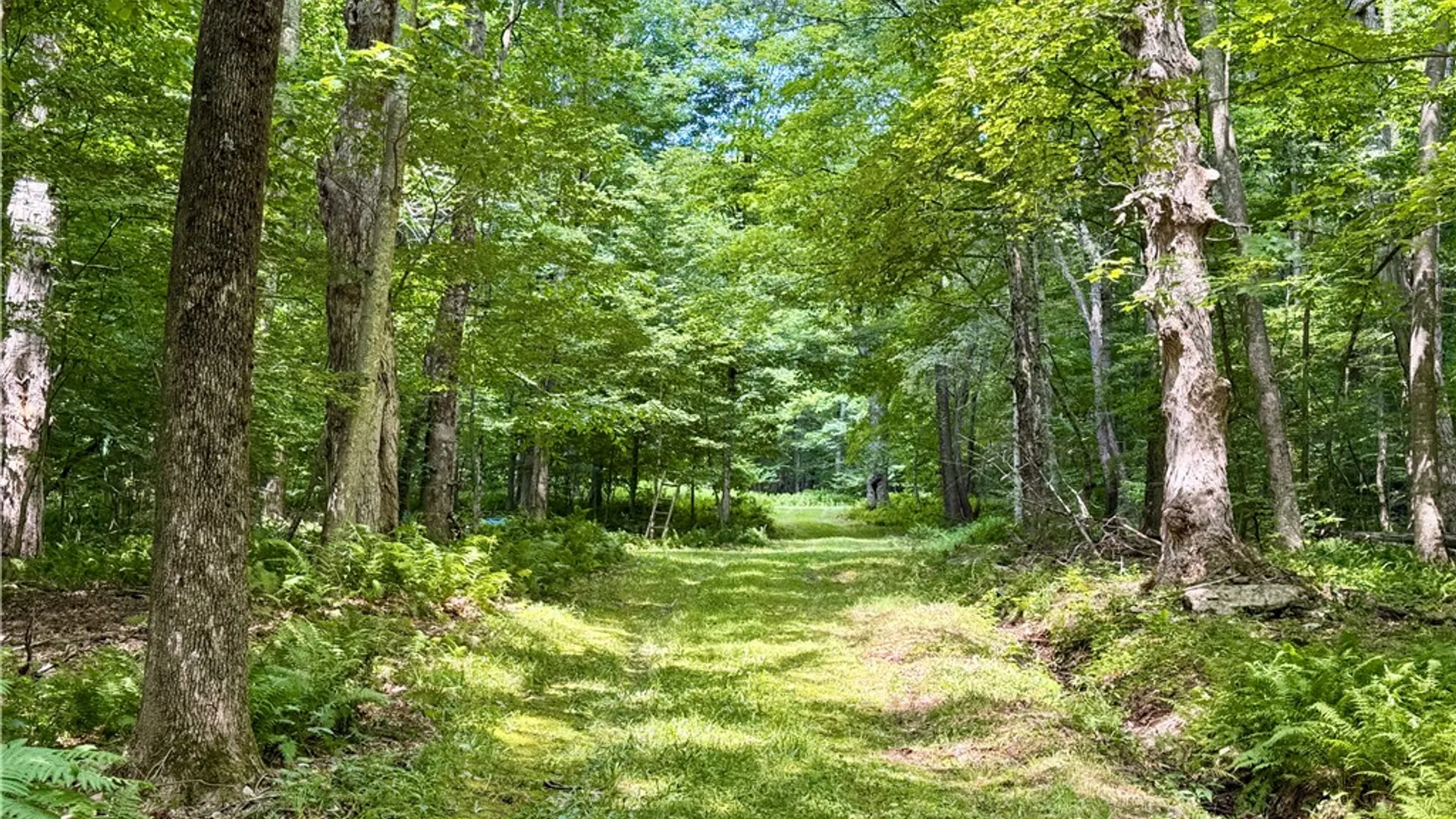Property at 253 Davis Hollow Road, Andes, NY 13731 2