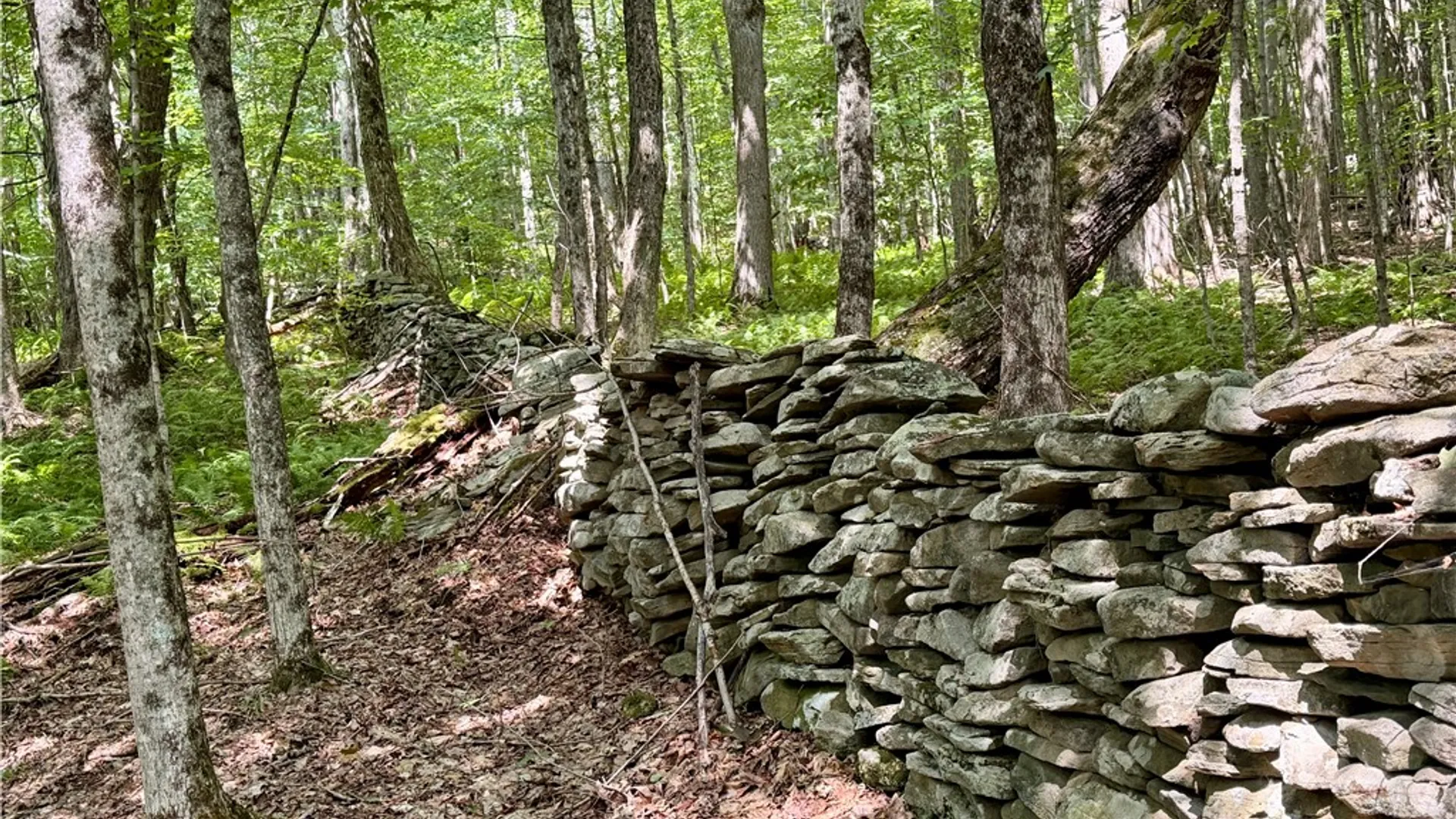 Property at 253 Davis Hollow Road, Andes, NY 13731 4