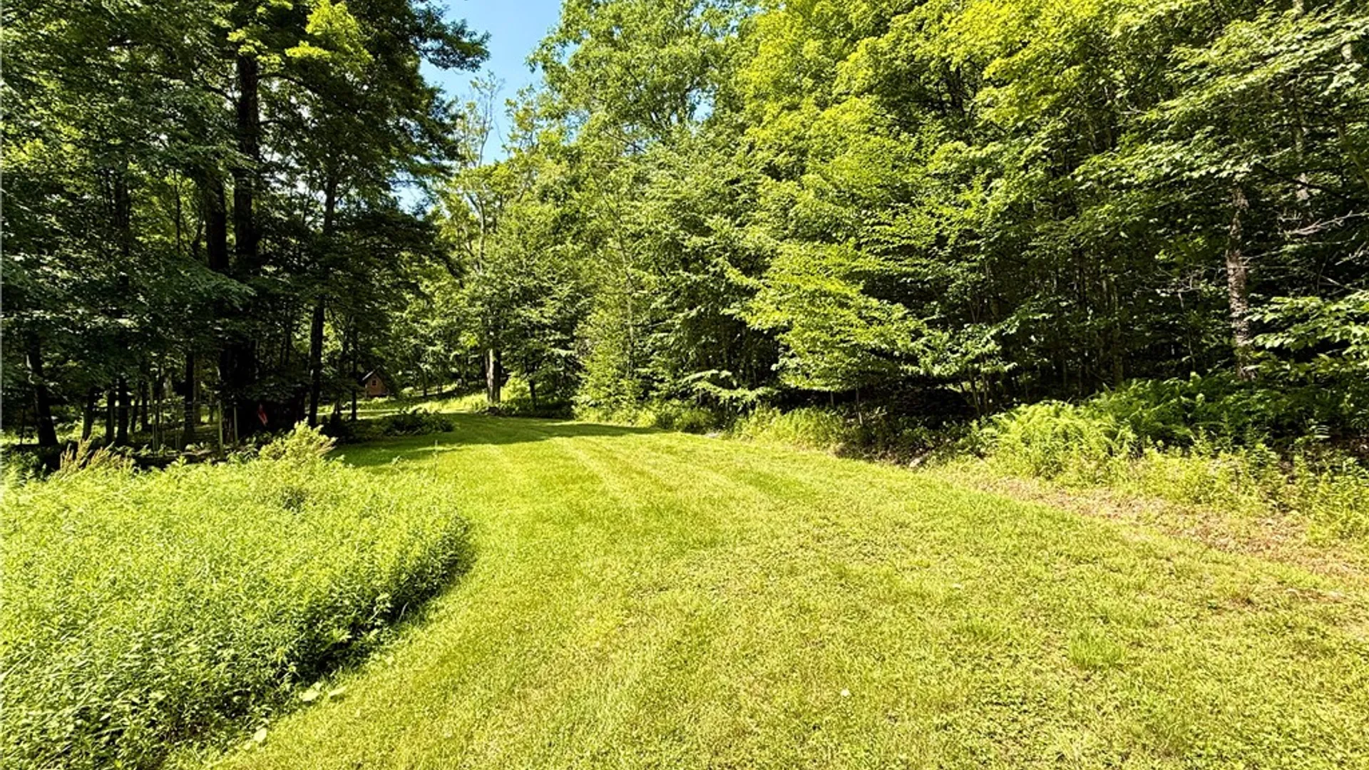 Property at 253 Davis Hollow Road, Andes, NY 13731 5
