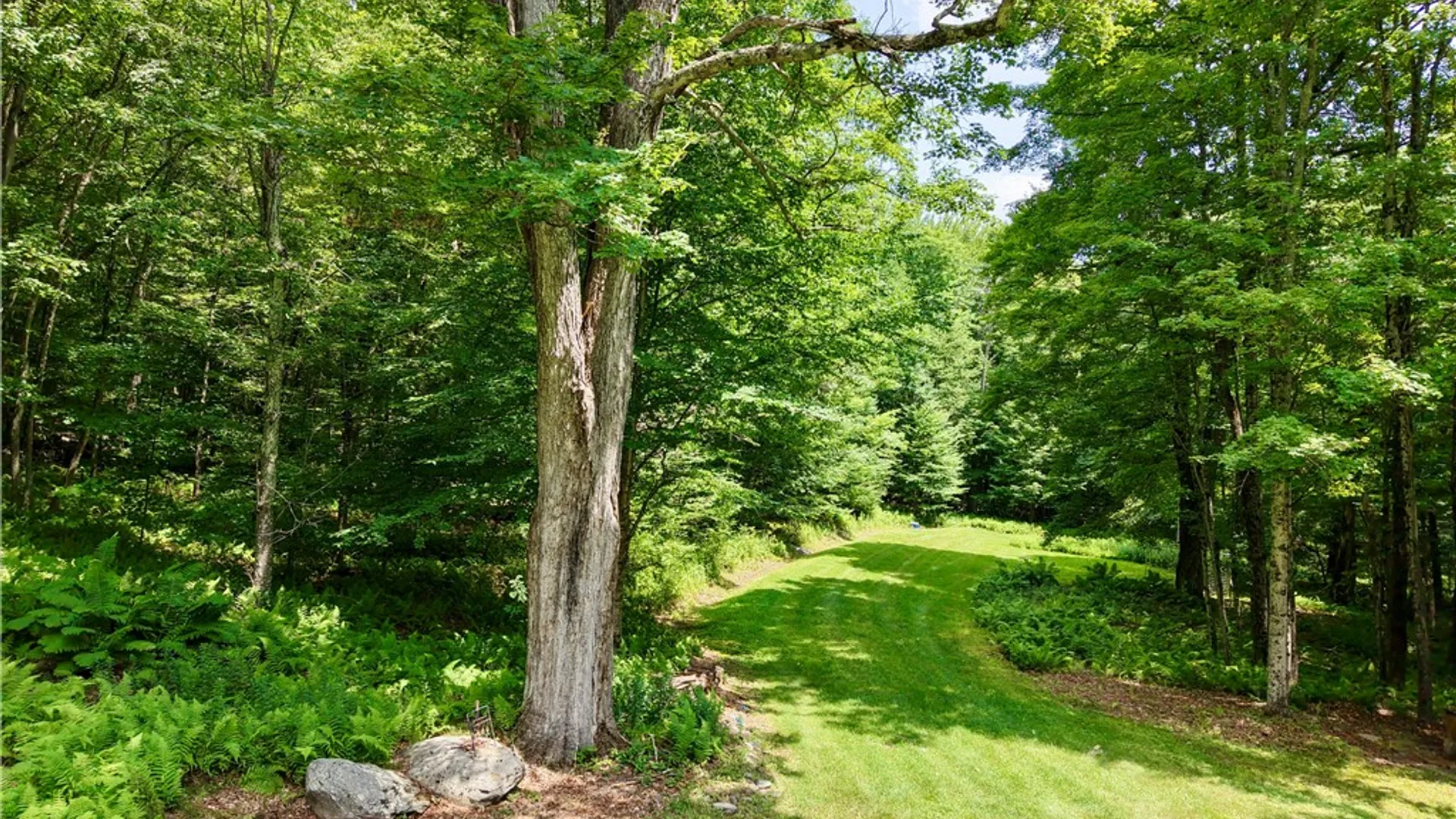 Property at 253 Davis Hollow Road, Andes, NY 13731 6