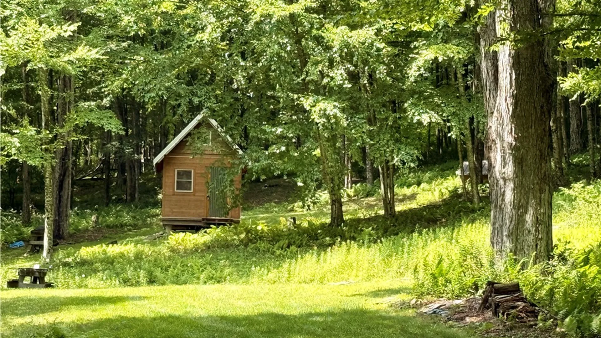 Property at 253 Davis Hollow Road, Andes, NY 13731 7