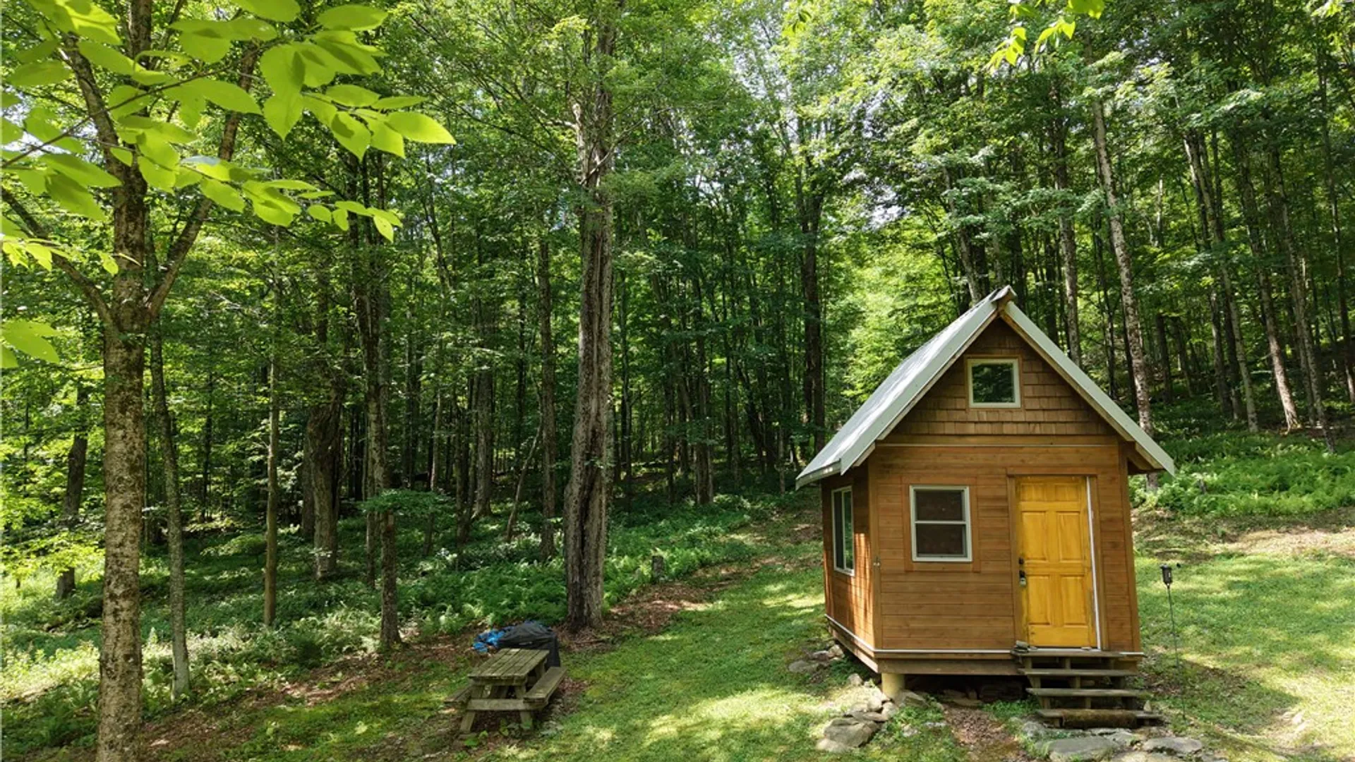 Property at 253 Davis Hollow Road, Andes, NY 13731 8