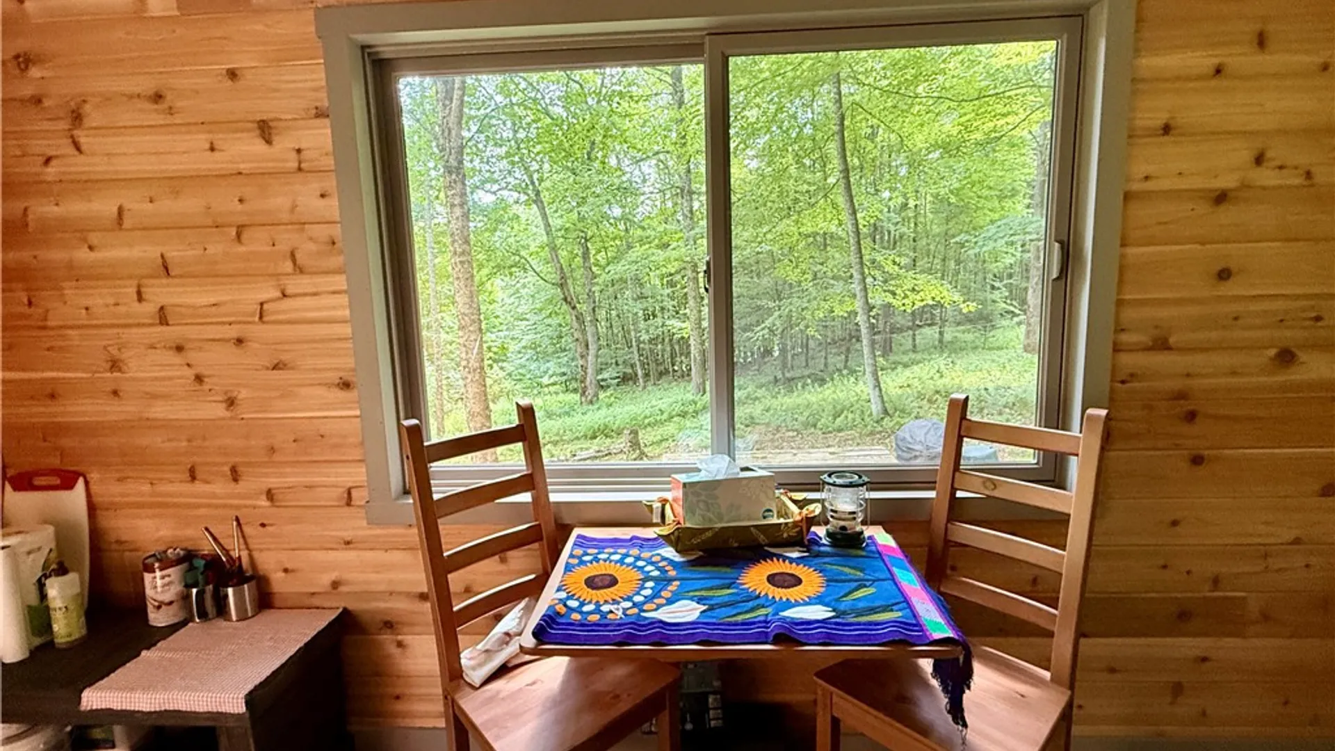 Property at 253 Davis Hollow Road, Andes, NY 13731 13