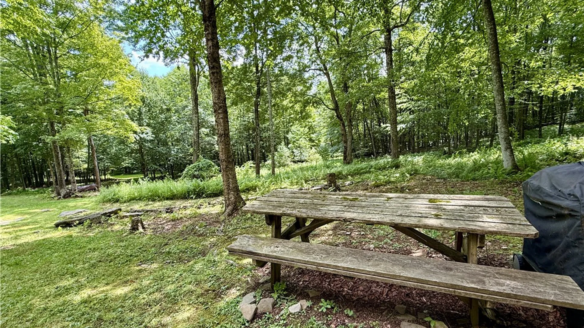 Property at 253 Davis Hollow Road, Andes, NY 13731 18