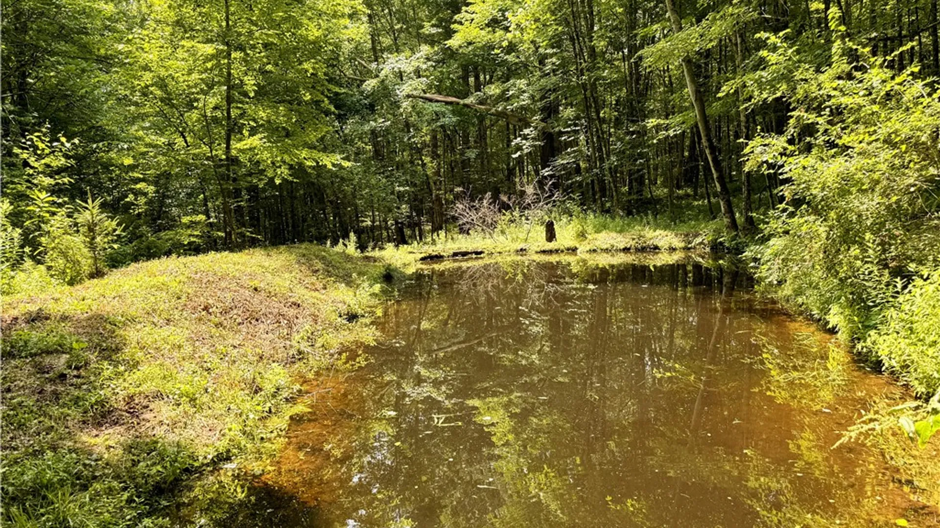 Property at 253 Davis Hollow Road, Andes, NY 13731 23