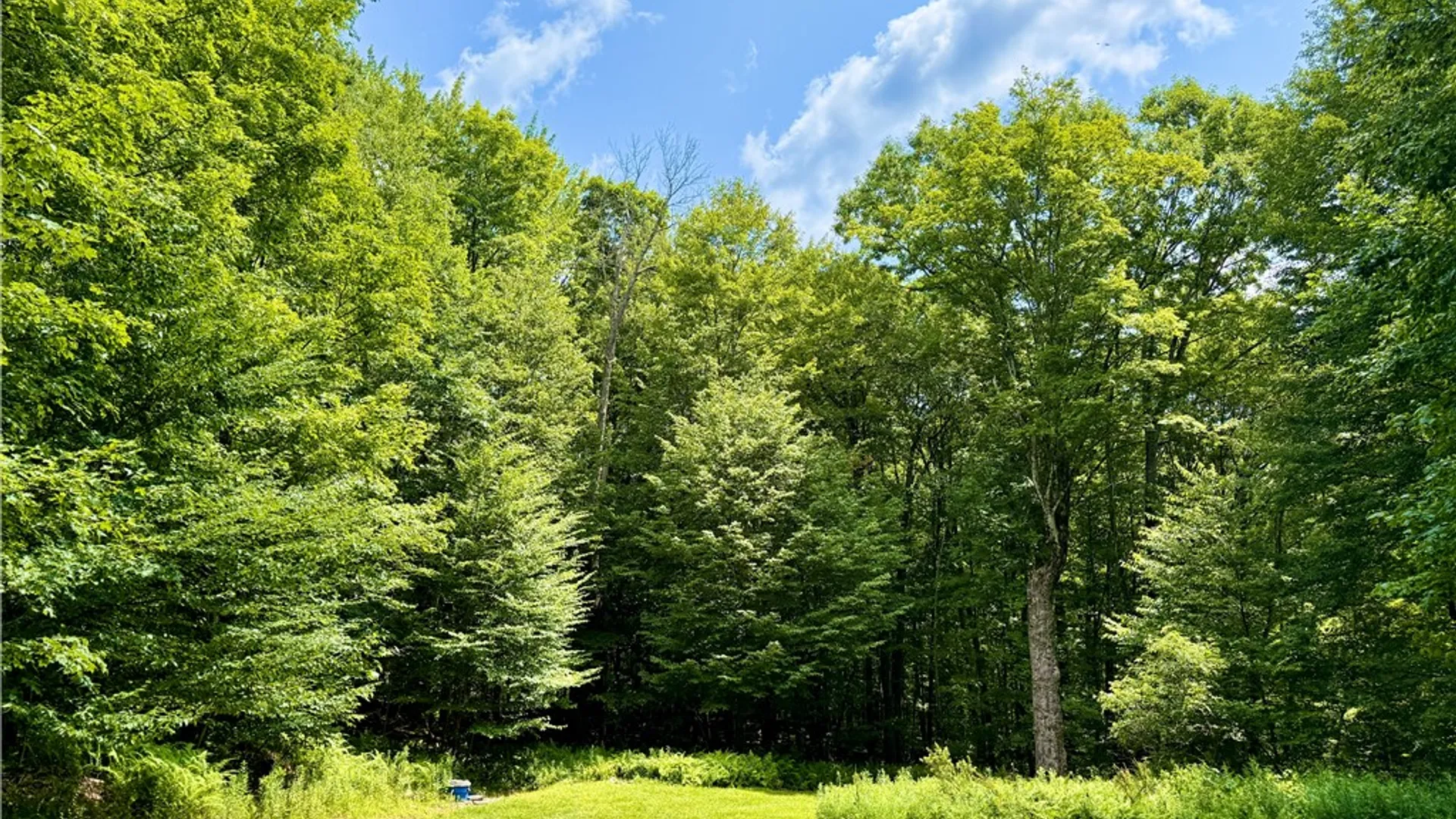 Property at 253 Davis Hollow Road, Andes, NY 13731 25