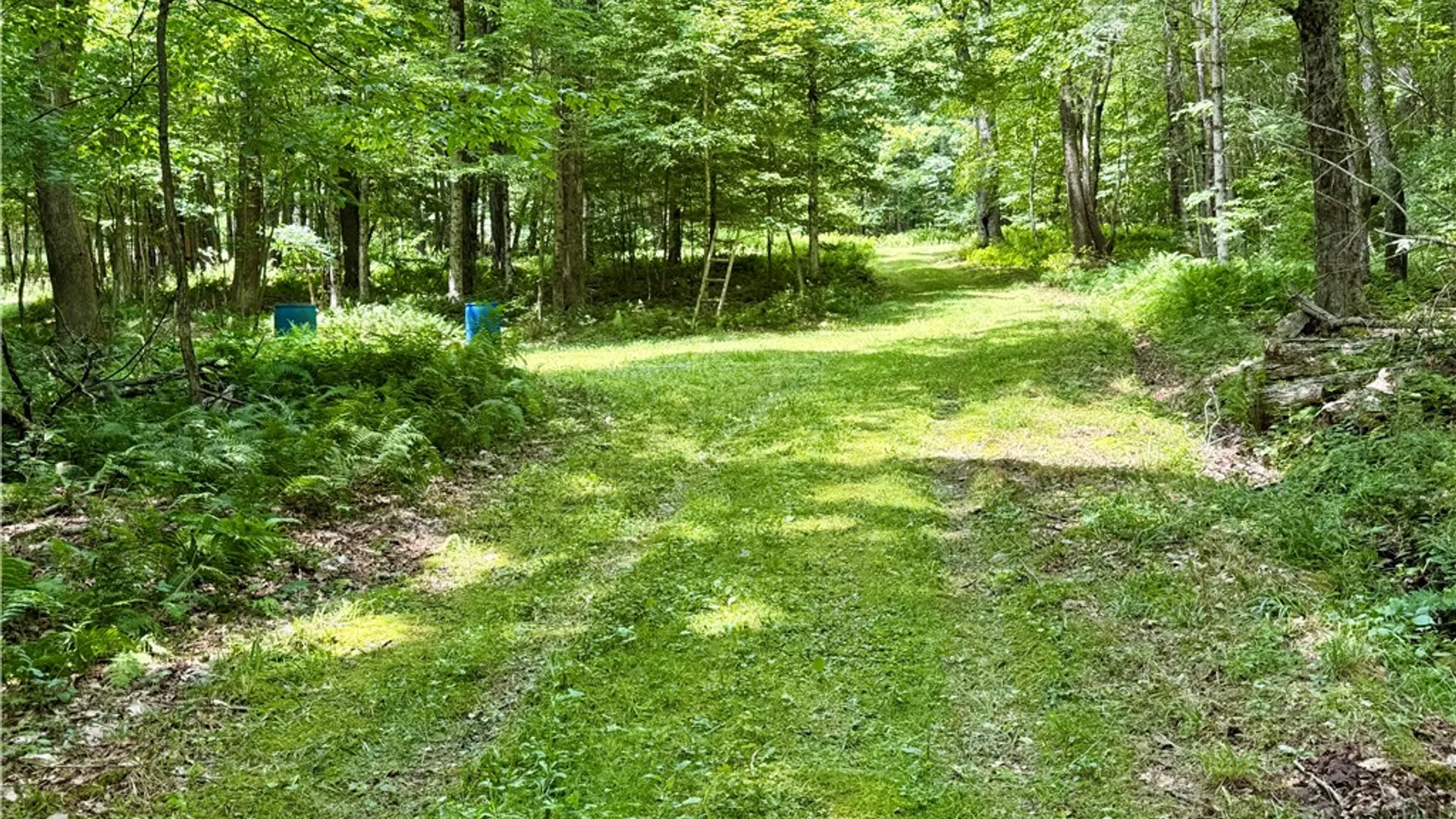 Property at 253 Davis Hollow Road, Andes, NY 13731 29