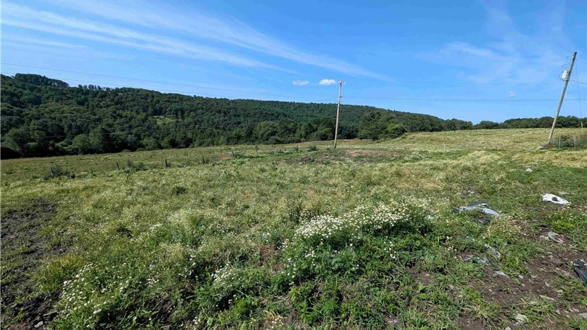Property at 1406 Hallsport Independence Road, Independence, NY 14806 20