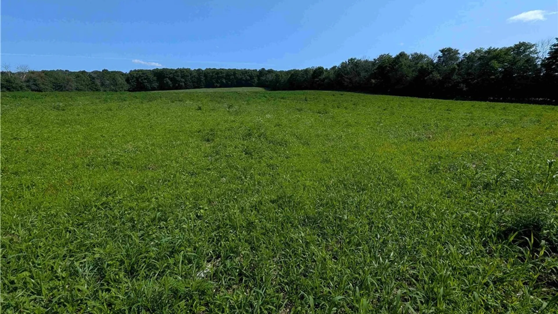 Property at 1406 Hallsport Independence Road, Independence, NY 14806 30