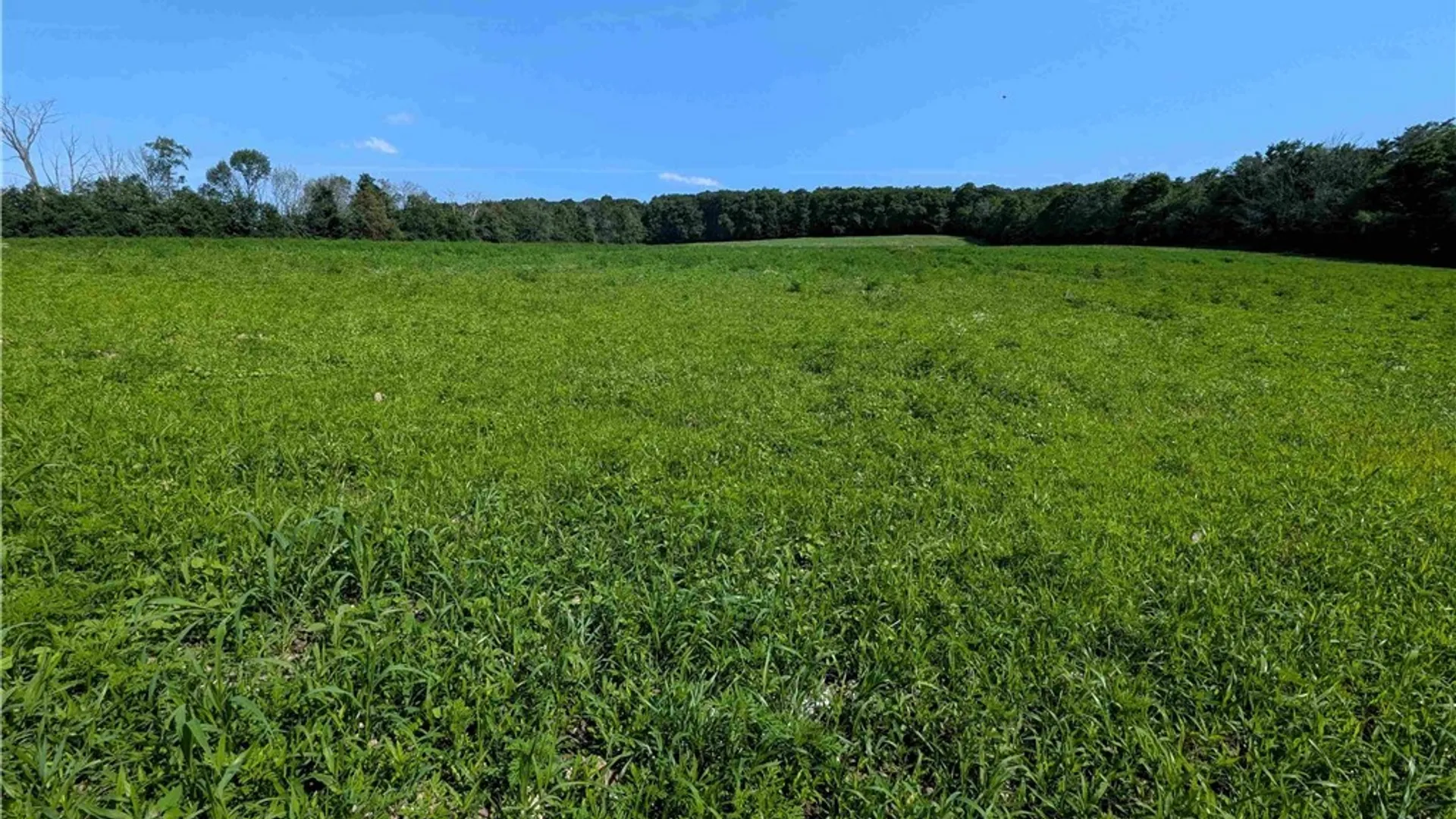 Property at 1406 Hallsport Independence Road, Independence, NY 14806 31