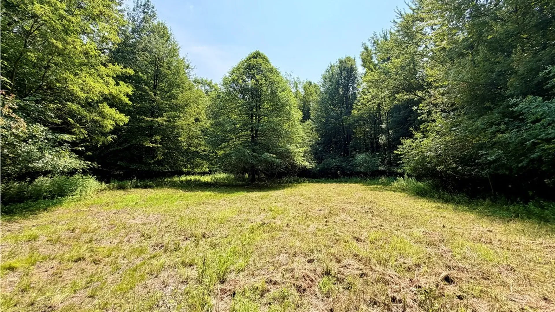 Property at 3479 Werle Road, Sheridan, NY 14048 27