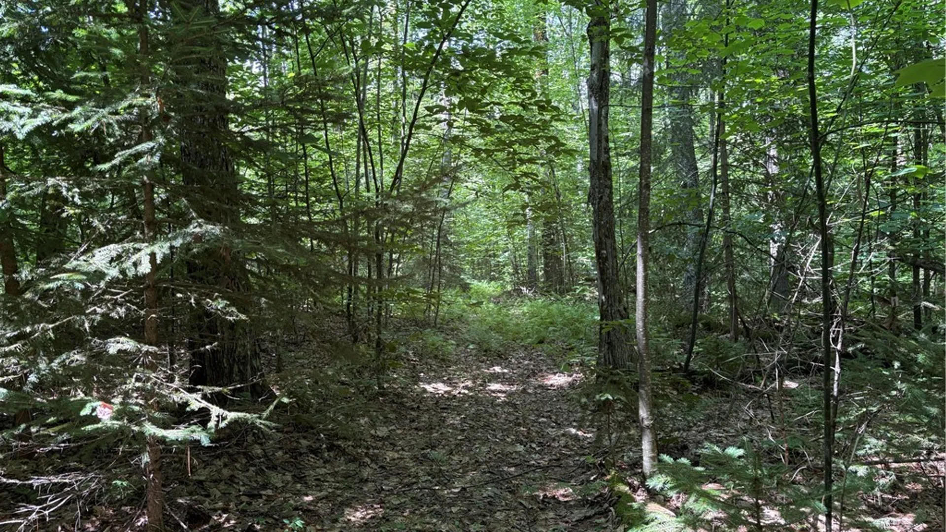 Property at Lot 25 Ericson Lane, Blenheim, NY 12093 3