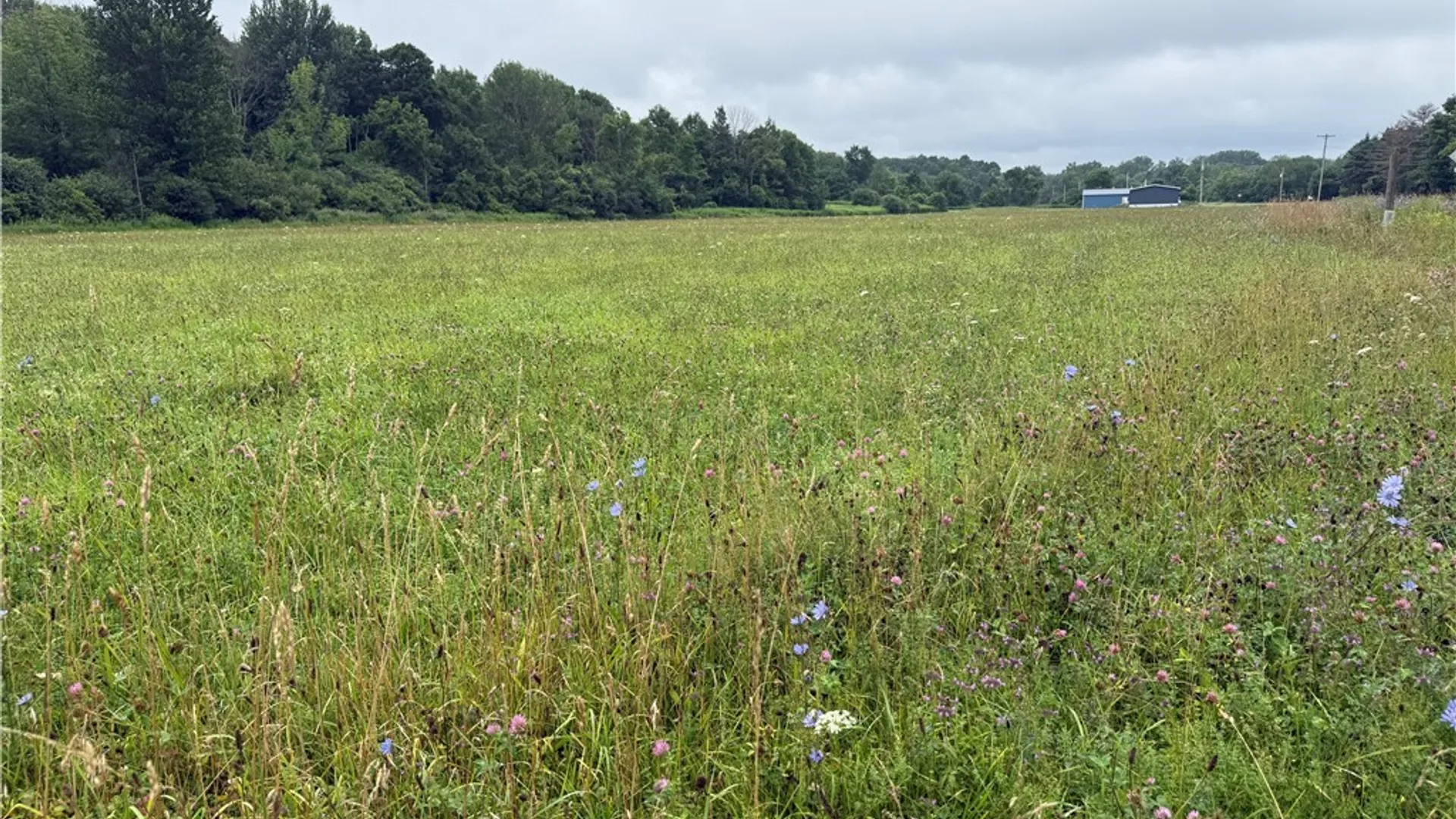 Property at 00 County Route 91, Ellisburg, NY 13636 2