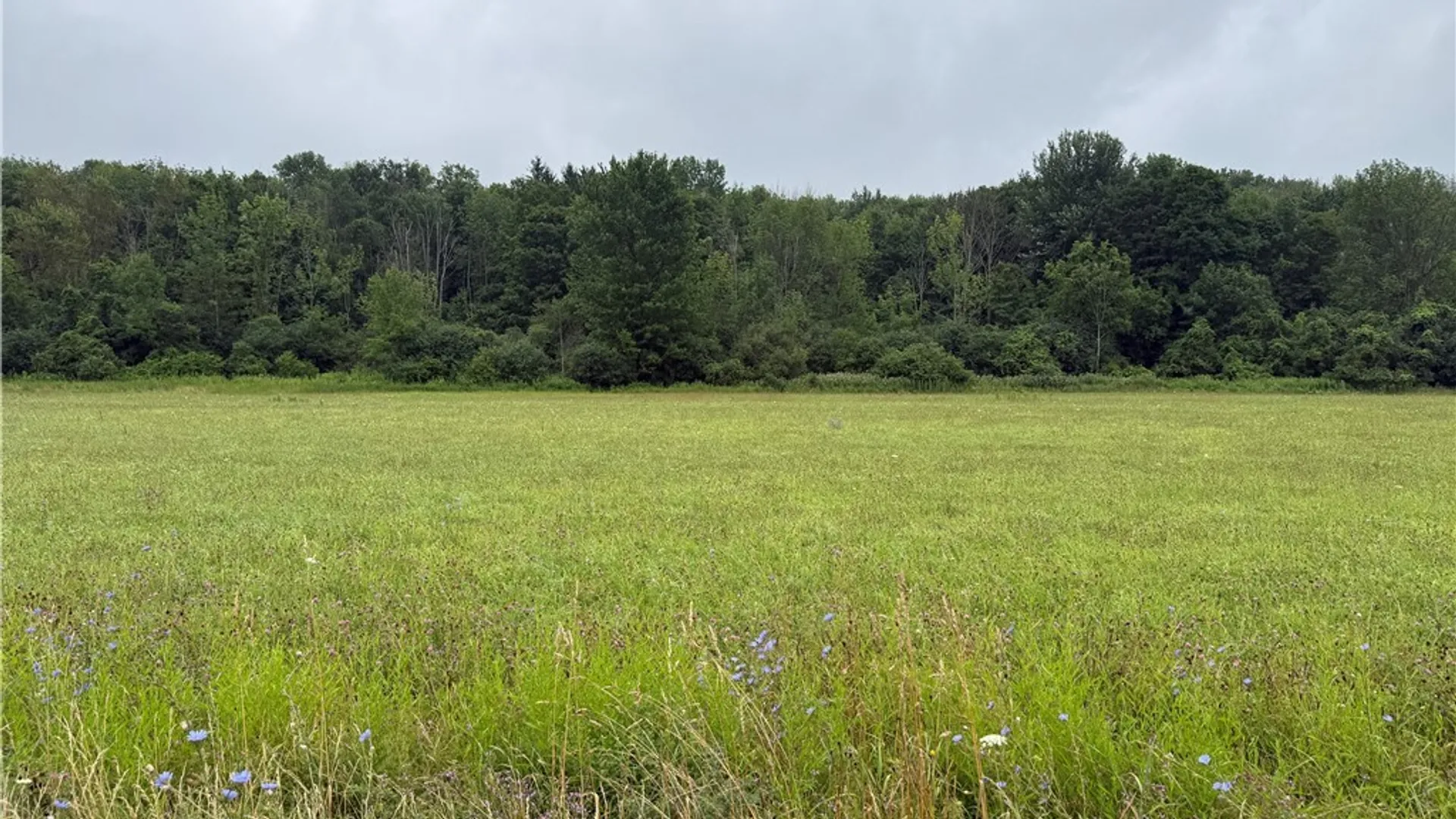 Property at 00 County Route 91, Ellisburg, NY 13636 3