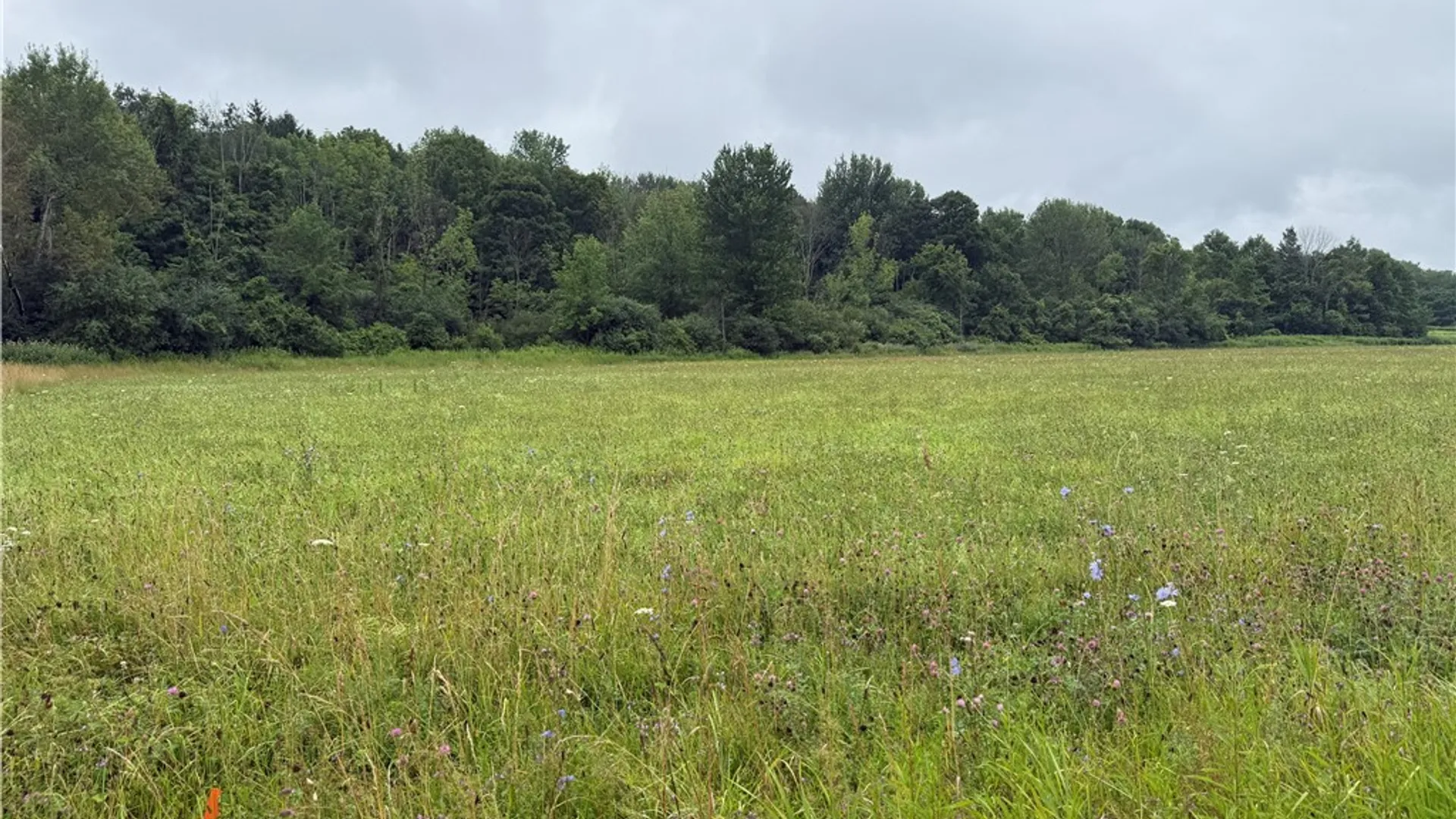 Property at 00 County Route 91, Ellisburg, NY 13636 6