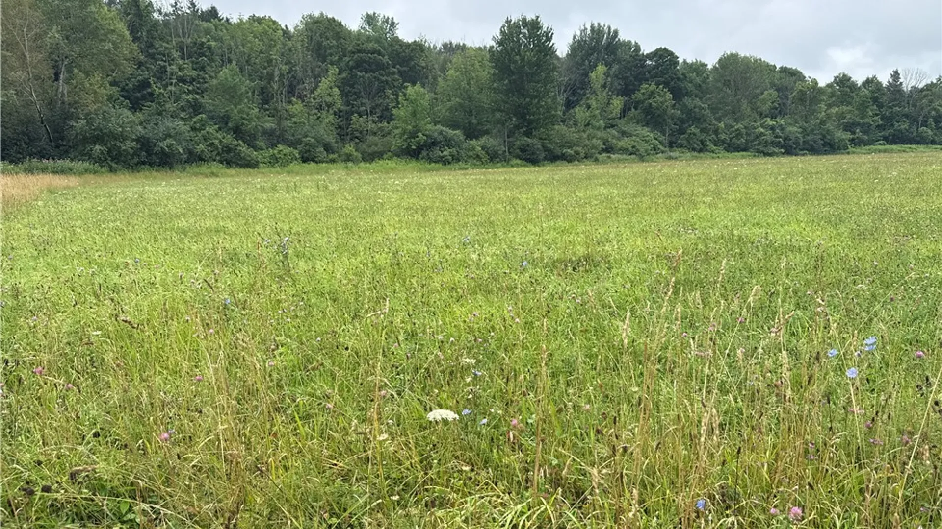 Property at 00 County Route 91, Ellisburg, NY 13636 7