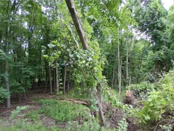 Property at 108 Skye Island Drive, Union, NY 13760