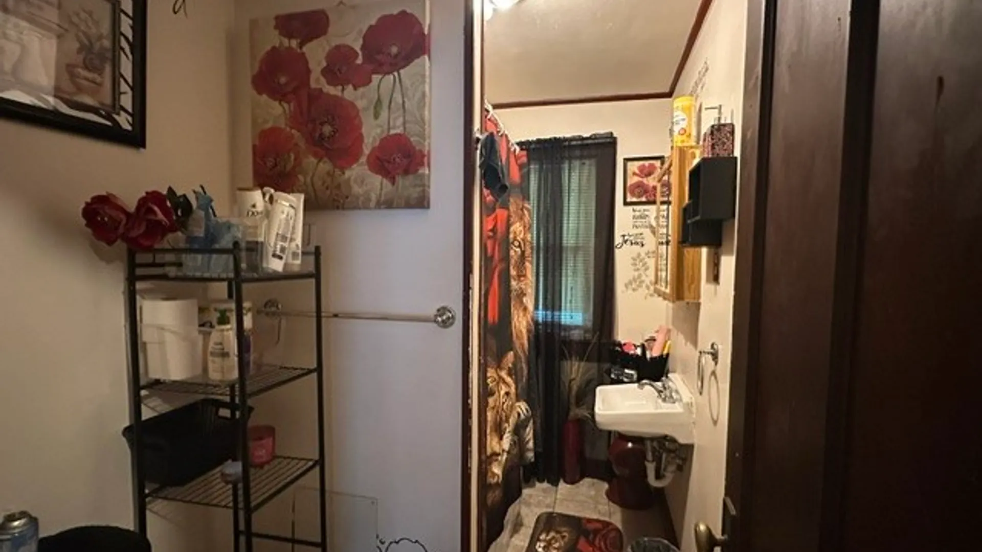 Property at 262 Sawyer Street, Rochester, NY 14619 9