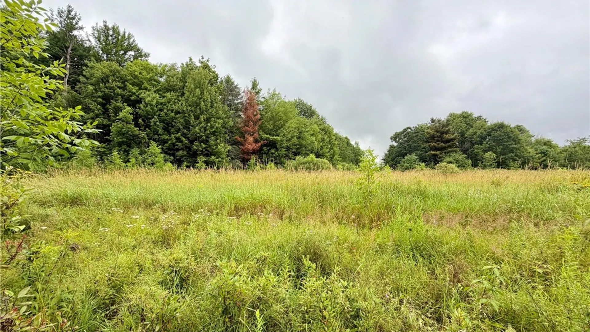Property at Hammond Road, Hammond, NY 13646 7