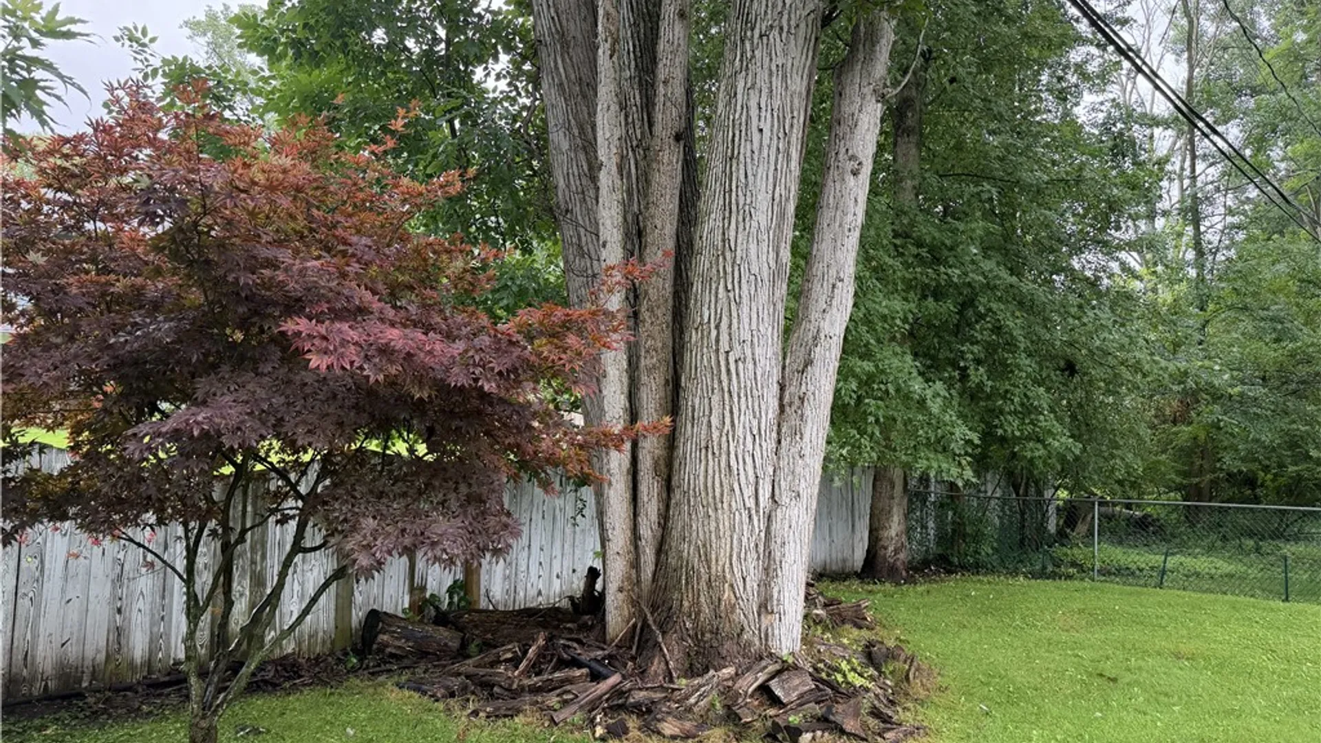 Property at 668 Marsh Road, Pittsford, NY 14534 43