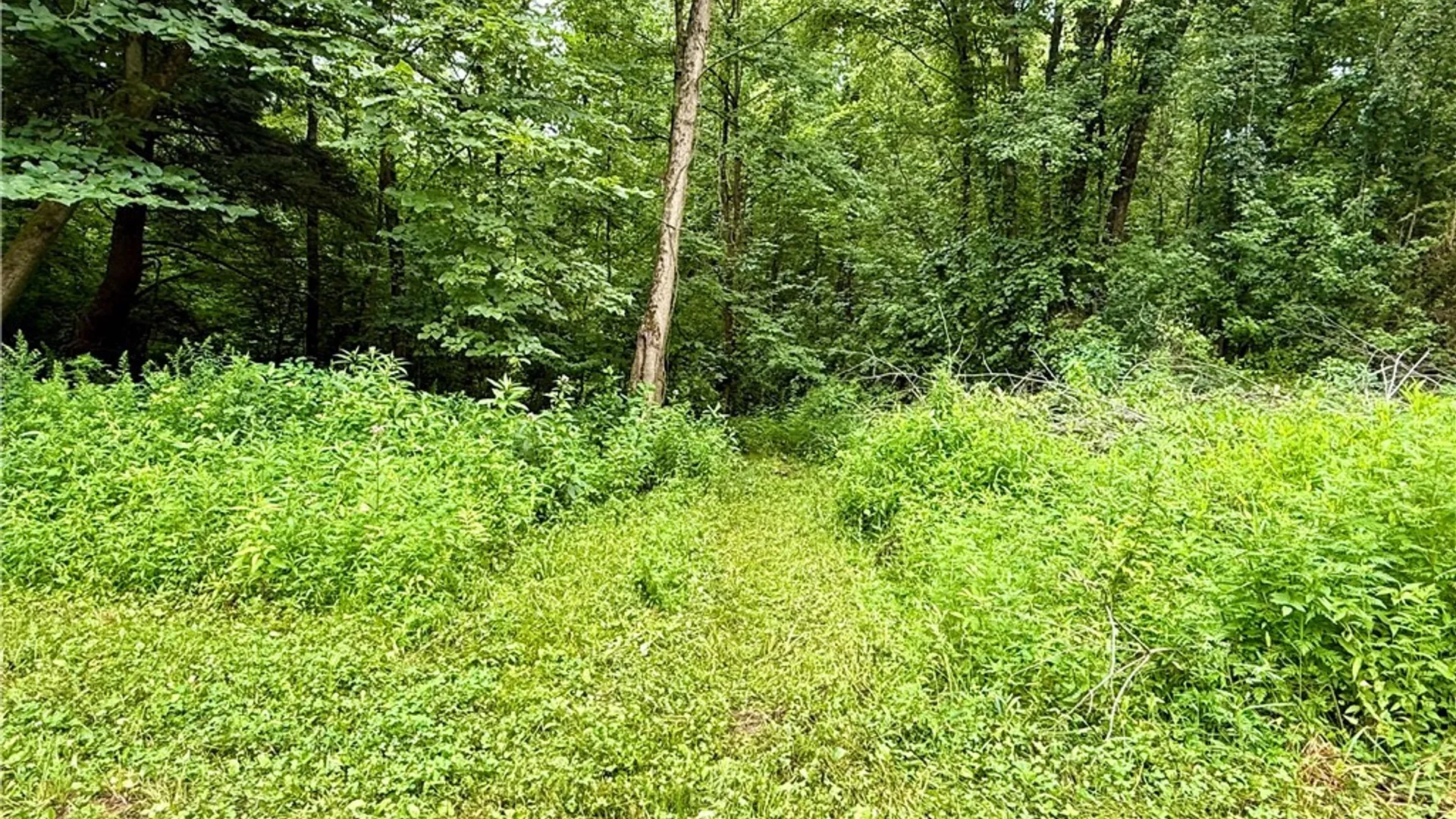 Property at 10329 Short Cut Road, Cato, NY 13166 10