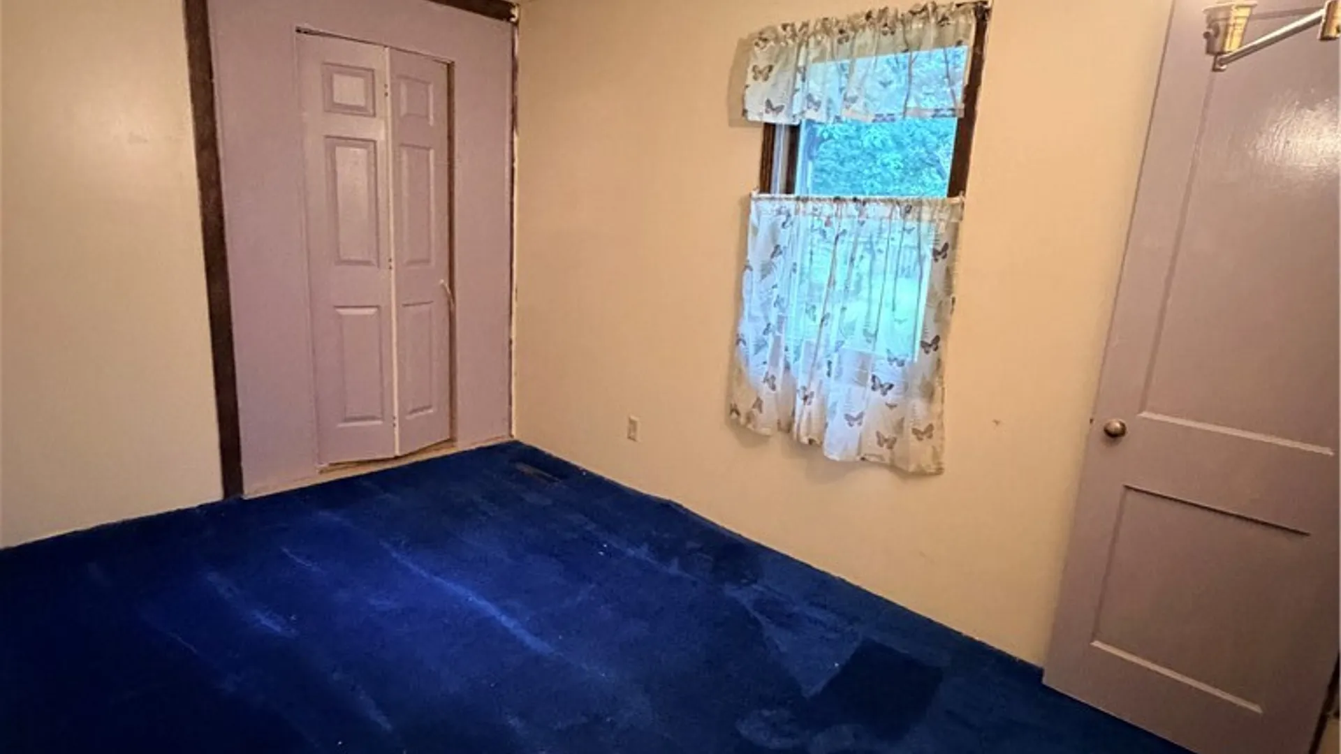 Property at 223 Victory Highway, Erwin, NY 14870 9