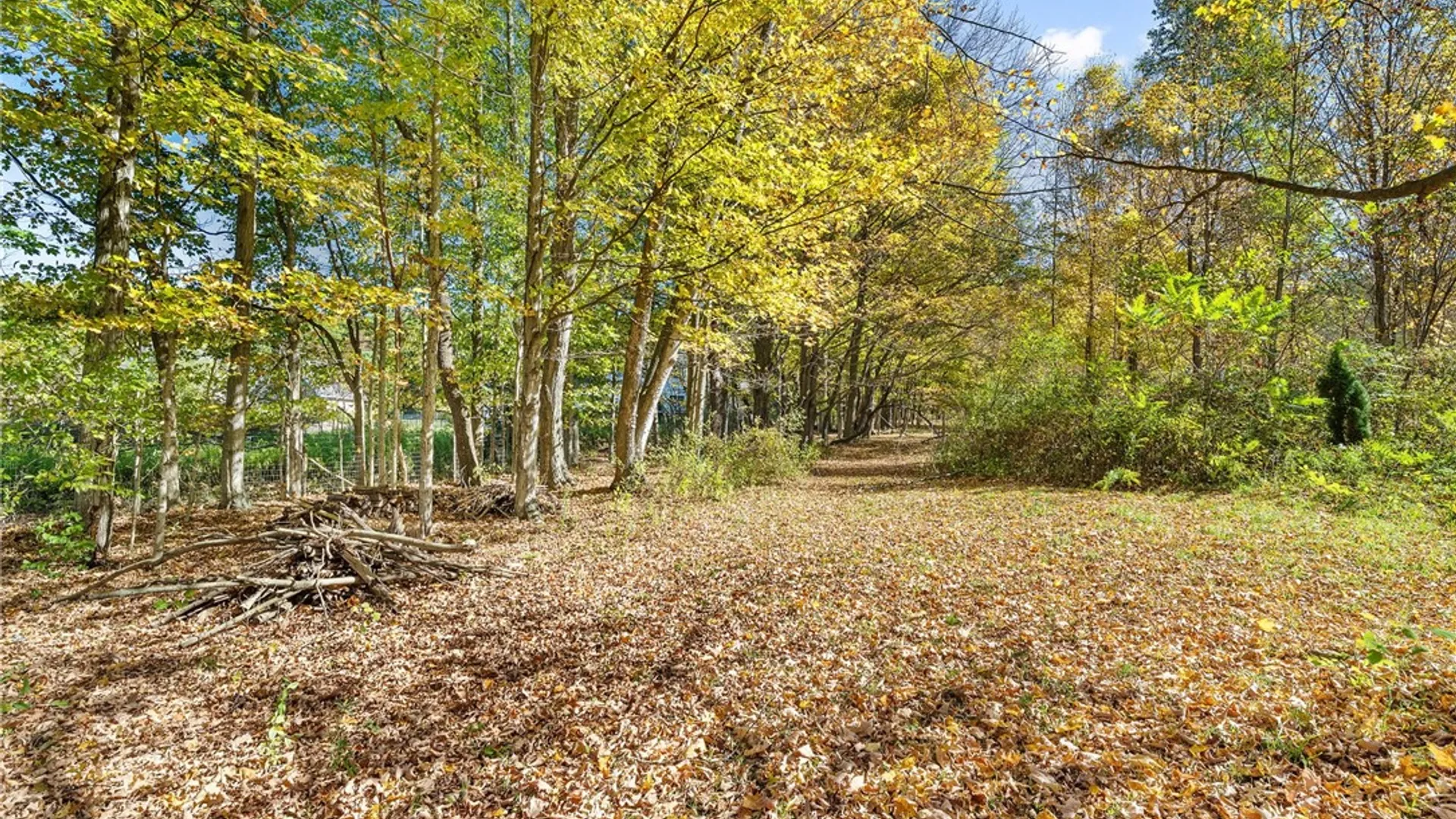 Property at 1879 Ellis Hollow Road, Dryden, NY 14850 46