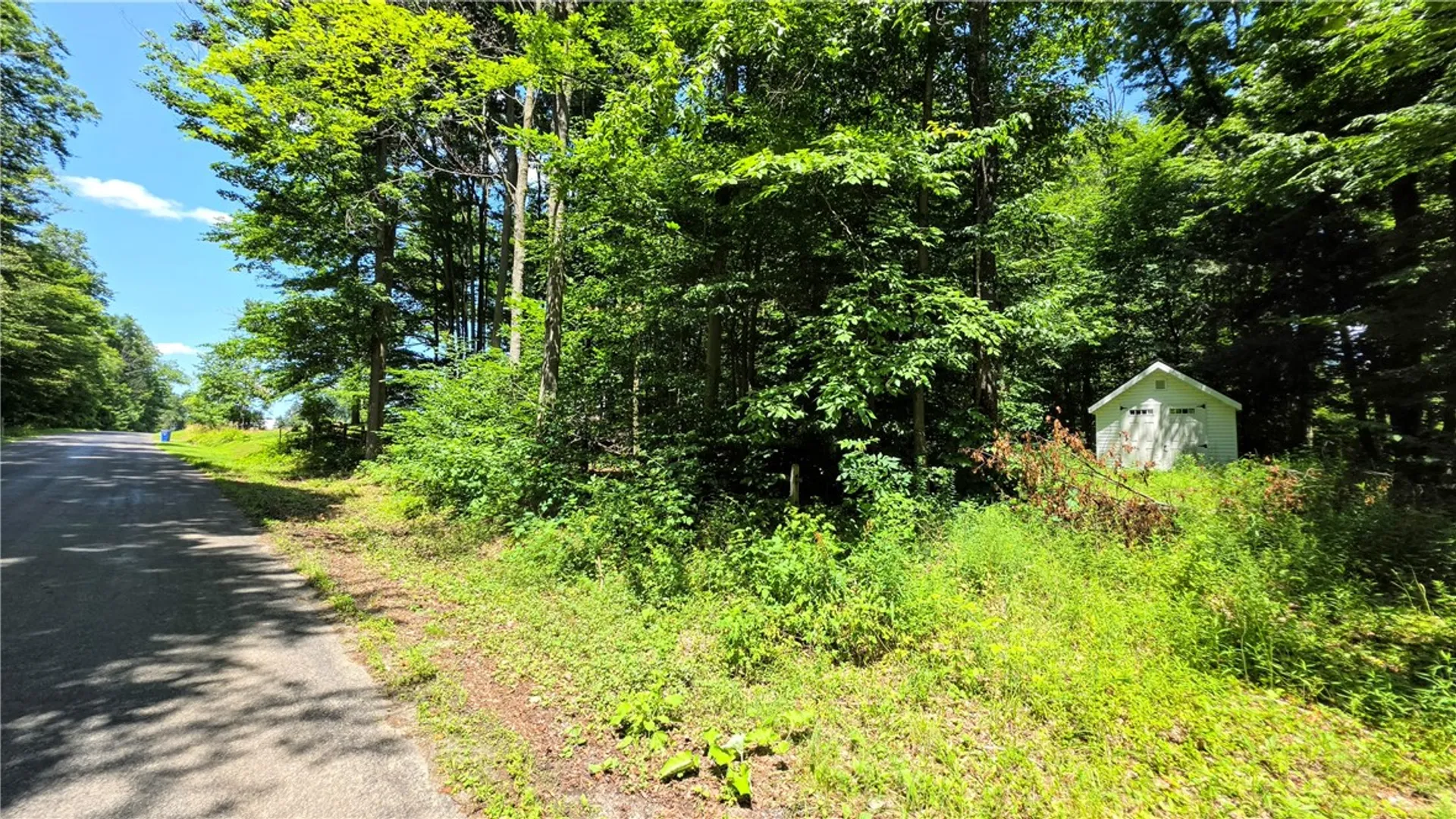 Property at 0 Morris Road, Dryden, NY 13068 5