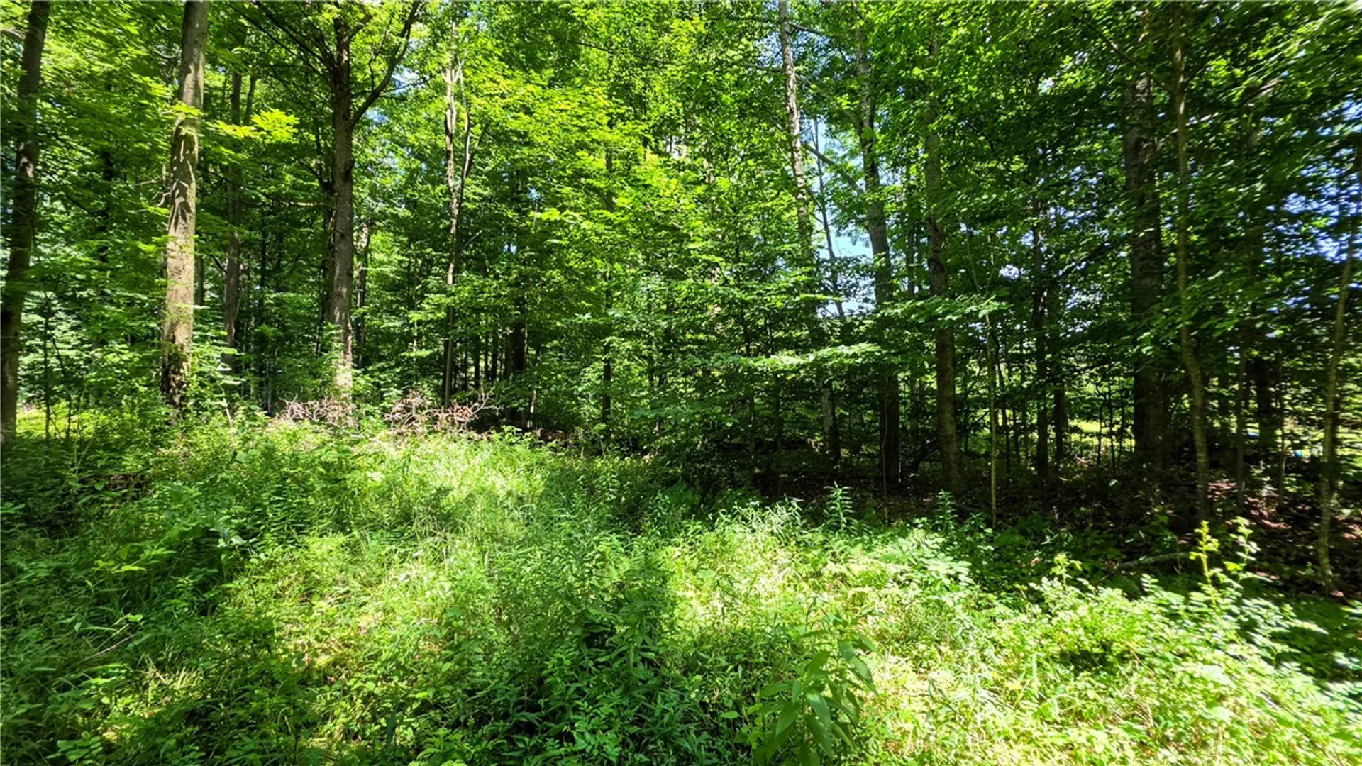 Property at 0 Morris Road, Dryden, NY 13068 6
