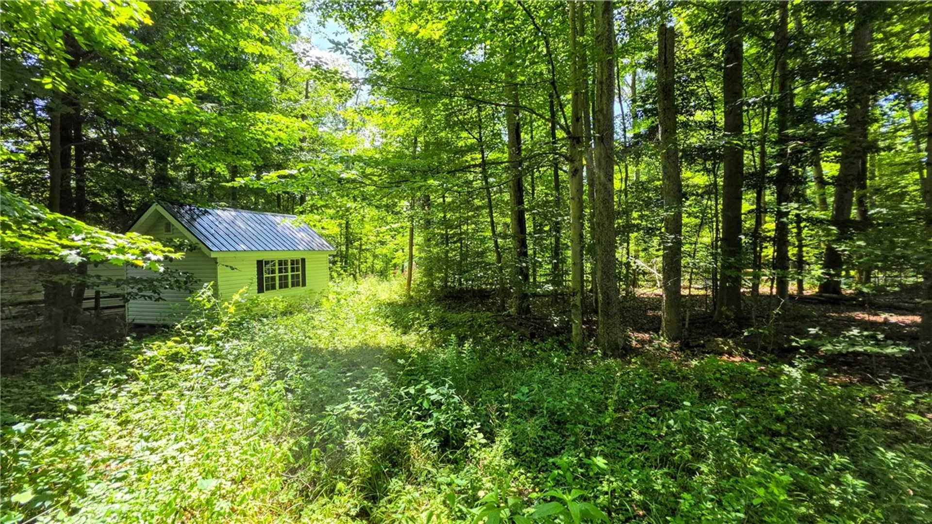 Property at 0 Morris Road, Dryden, NY 13068 7