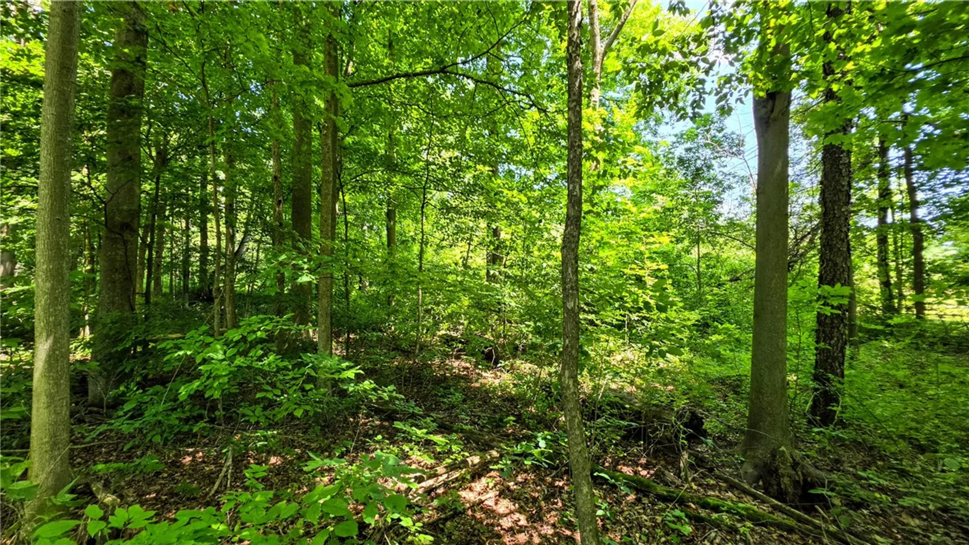 Property at 0 Morris Road, Dryden, NY 13068 8