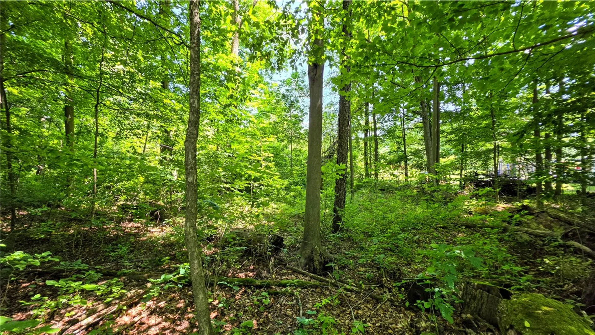 Property at 0 Morris Road, Dryden, NY 13068 9