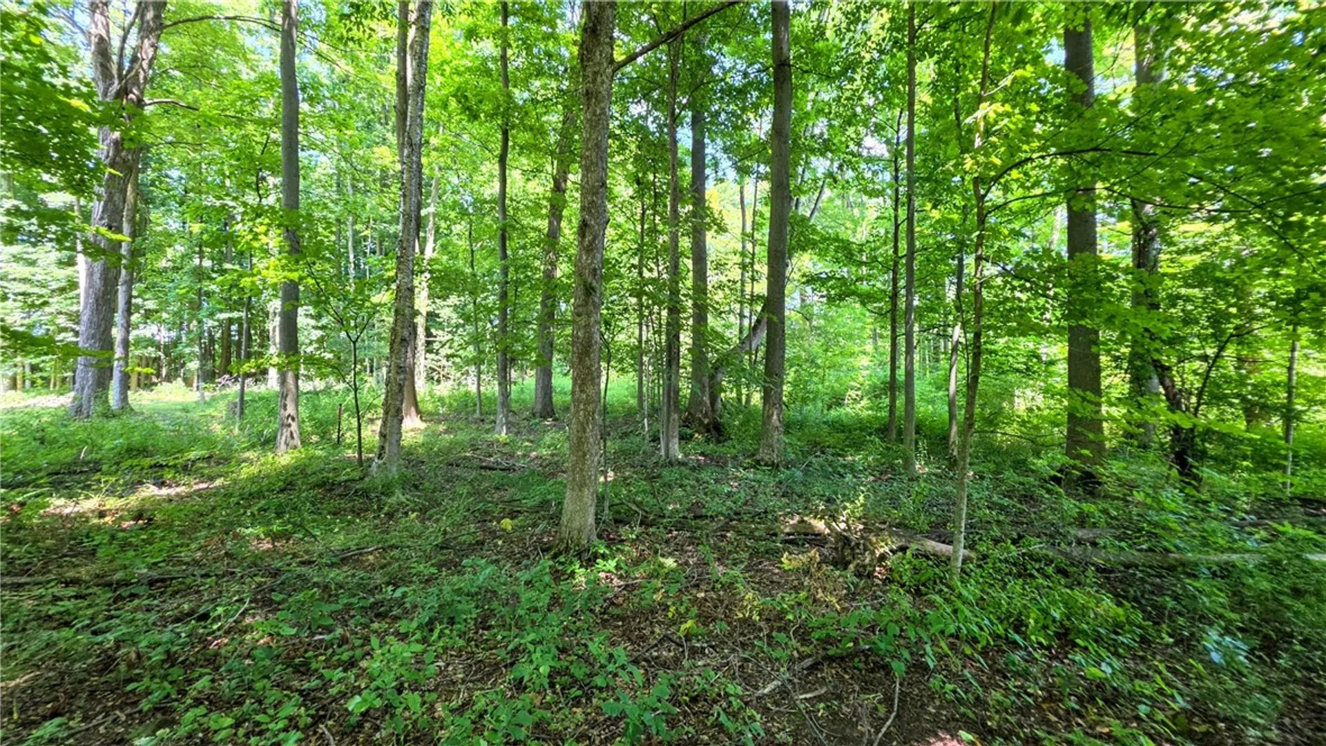 Property at 0 Morris Road, Dryden, NY 13068 11